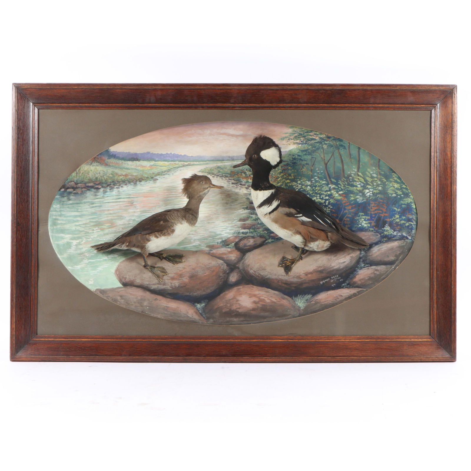 Herman Grieb taxidermy diorama with male and female Hooded Merganser ducks against landscape: Herman Grieb taxidermy diorama with male and female Hooded Merganser ducks against landscape painting, Buffalo, NY, 1914 26 1/2"H x 42 1/2"H