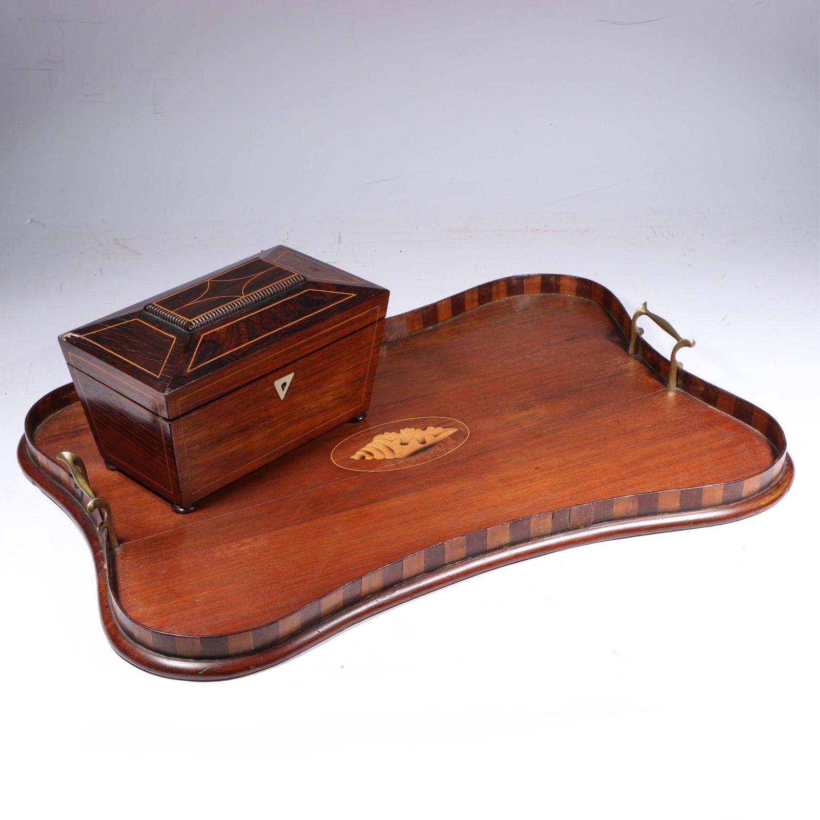 Antique Edwardian inlaid mahogany gallery serving tray with conch shell motif and English Regency (1 of 16)