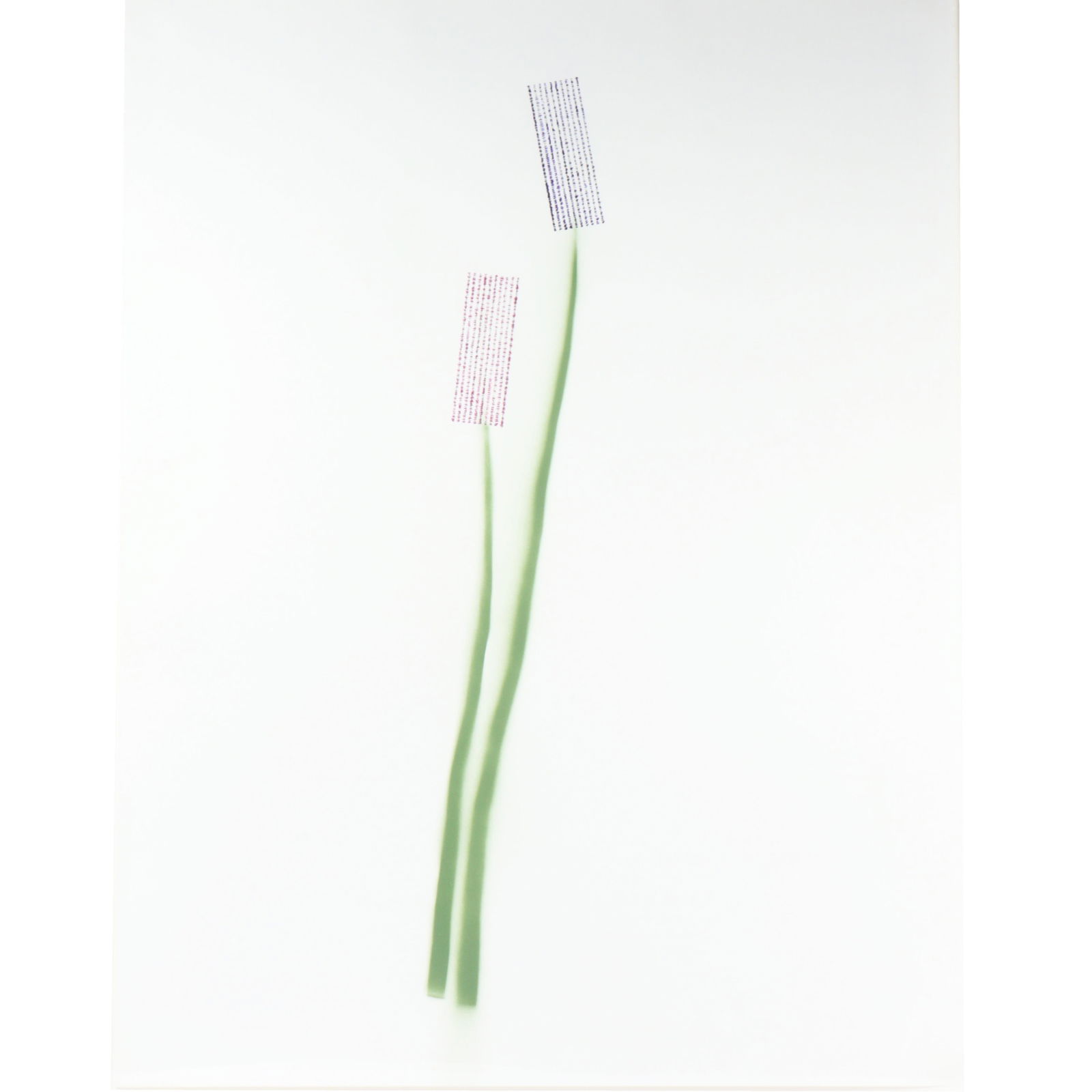 Frances Stark, California (b.1967), Imposing in the back of the border and incomparable as a cut (1 of 10)