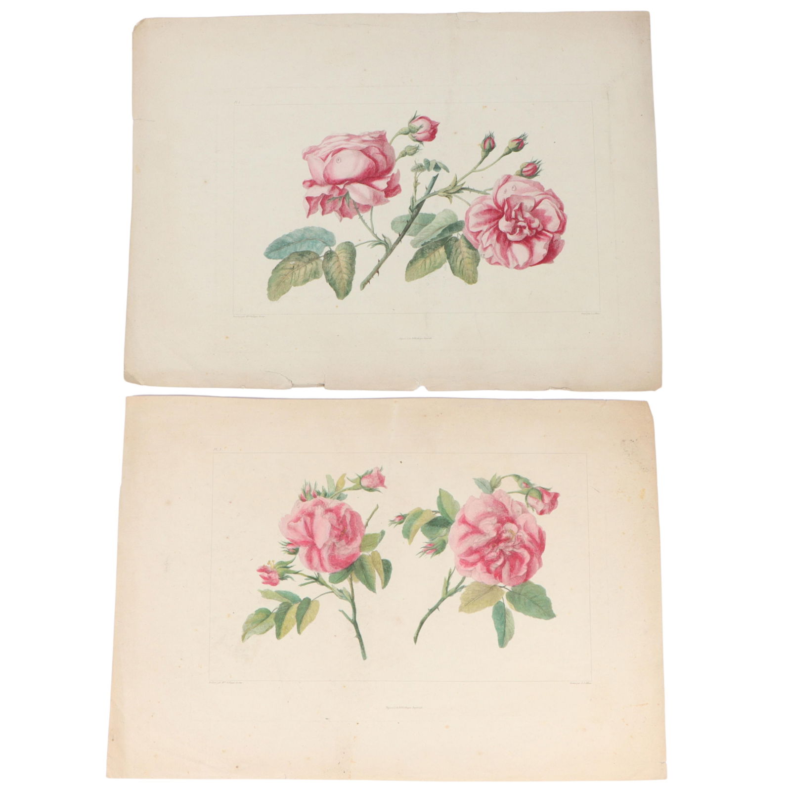 Anne Vallayer-Coster / L.J. Allais, French (late 18th Century), Depose a la Bibliotheque Imperiale, (1 of 19)