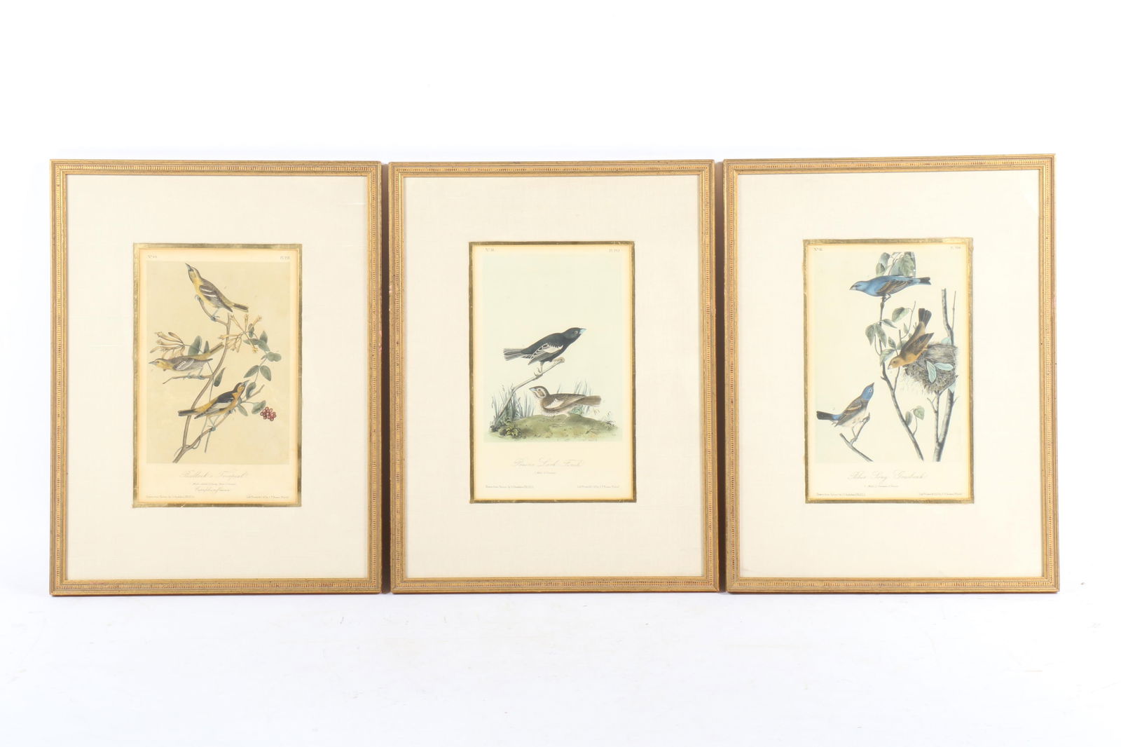 Ornithological bird study lithographic print plates by John James Audubon and J.T. Bowen, 3pc. group (1 of 12)
