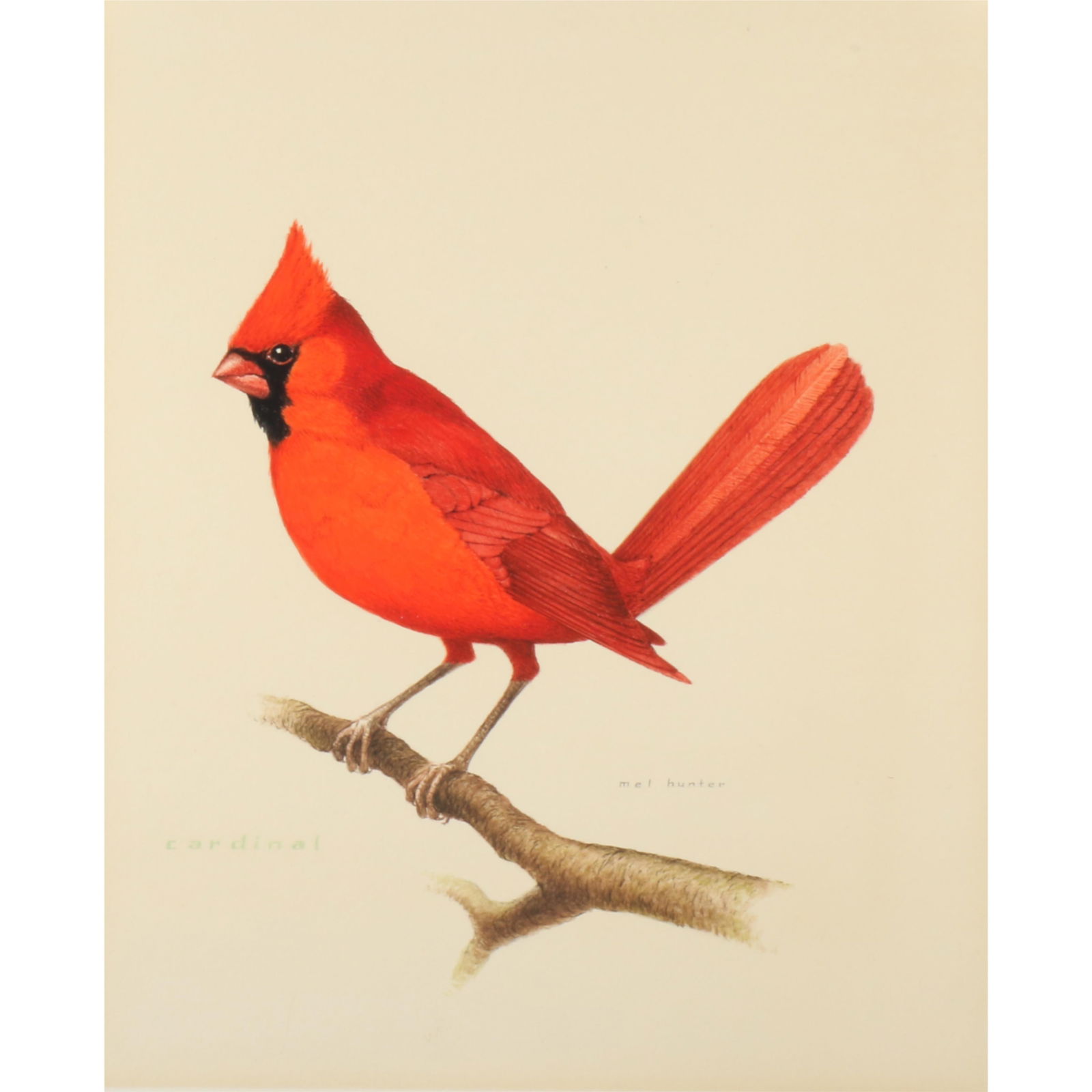 Mel Hunter, Vermont (1927-2004), Cardinal, gouache on board, 11"H x 8 1/2"W (Board) (1 of 9)