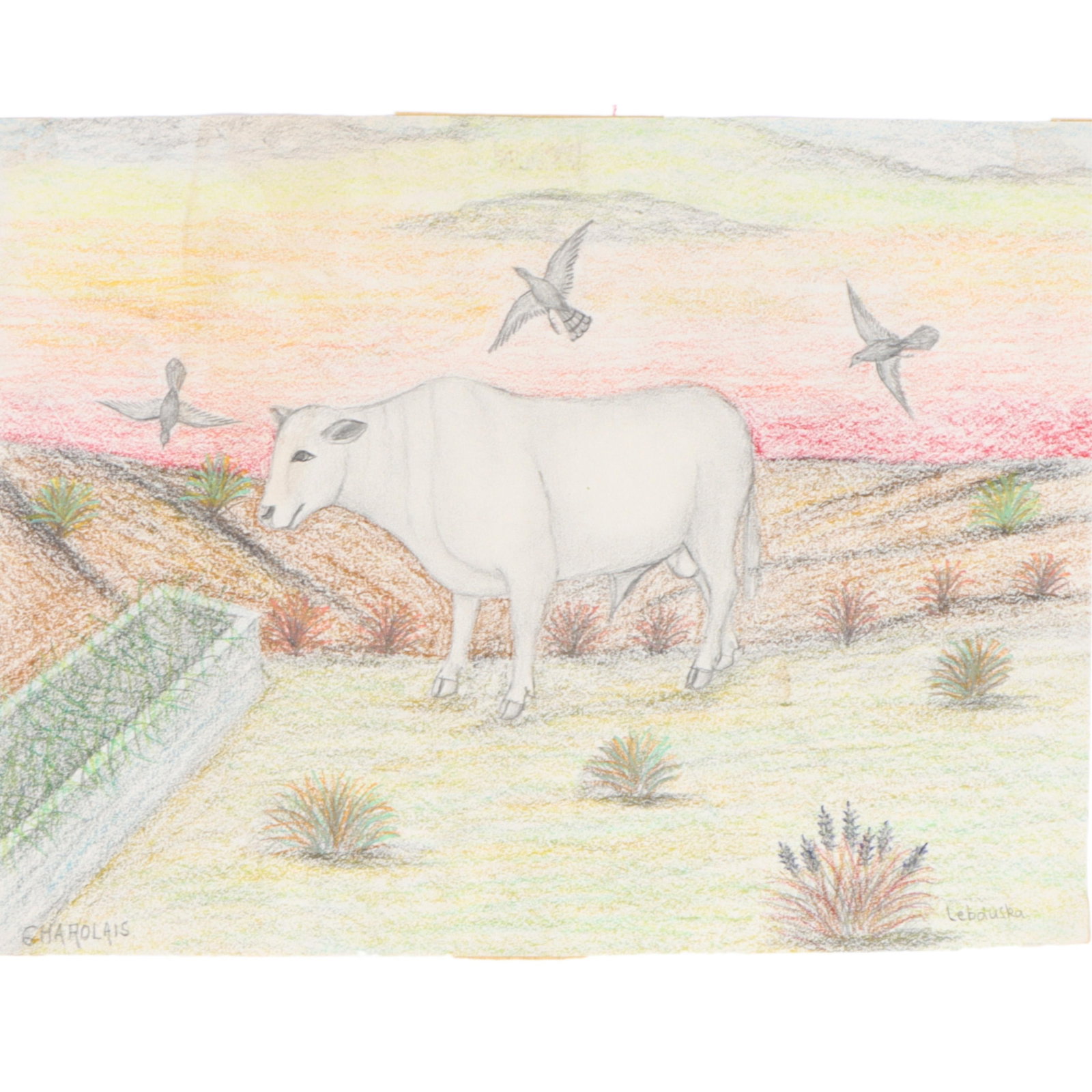 Lawrence Lebduska, America / Germany (1894-1966), Charolais Cattle, crayon and pencil on paper: Lawrence Lebduska America / Germany (1894-1966) Charolais Cattle crayon and pencil on paper Pencil signed lower right. Biography from the Archives of askART: Born in Baltimore, Maryland to a Bohemian 