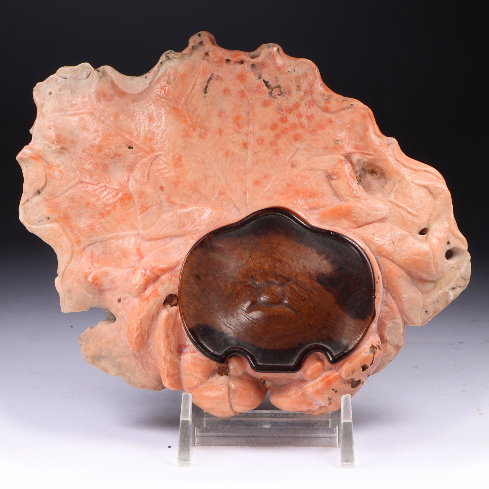 Japanese triple signed carved salmon color coral and hardwood crab on leaf form sculpture with (1 of 20)