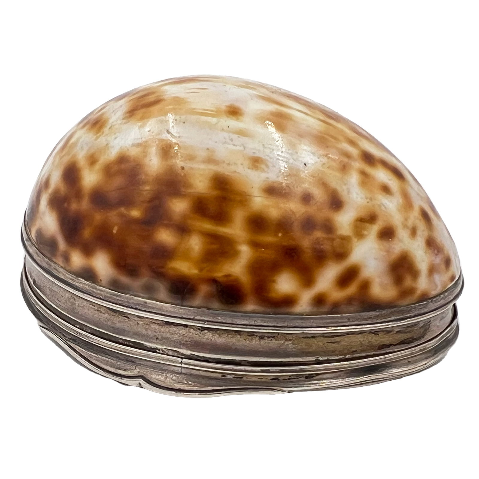 A SILVER MOUNTED GEORGIAN COWRIE SHELL SNUFF BOX, CIRCA 1800 (1 of 4)
