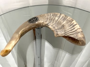 JUDAICA SHOFAR ROSH HASHANA RAMS HORN
