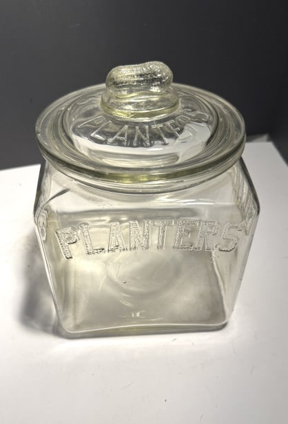 ANT PLANTERS GLASS SQUARE STORE COUNTER DISPLAY (1 of 2)