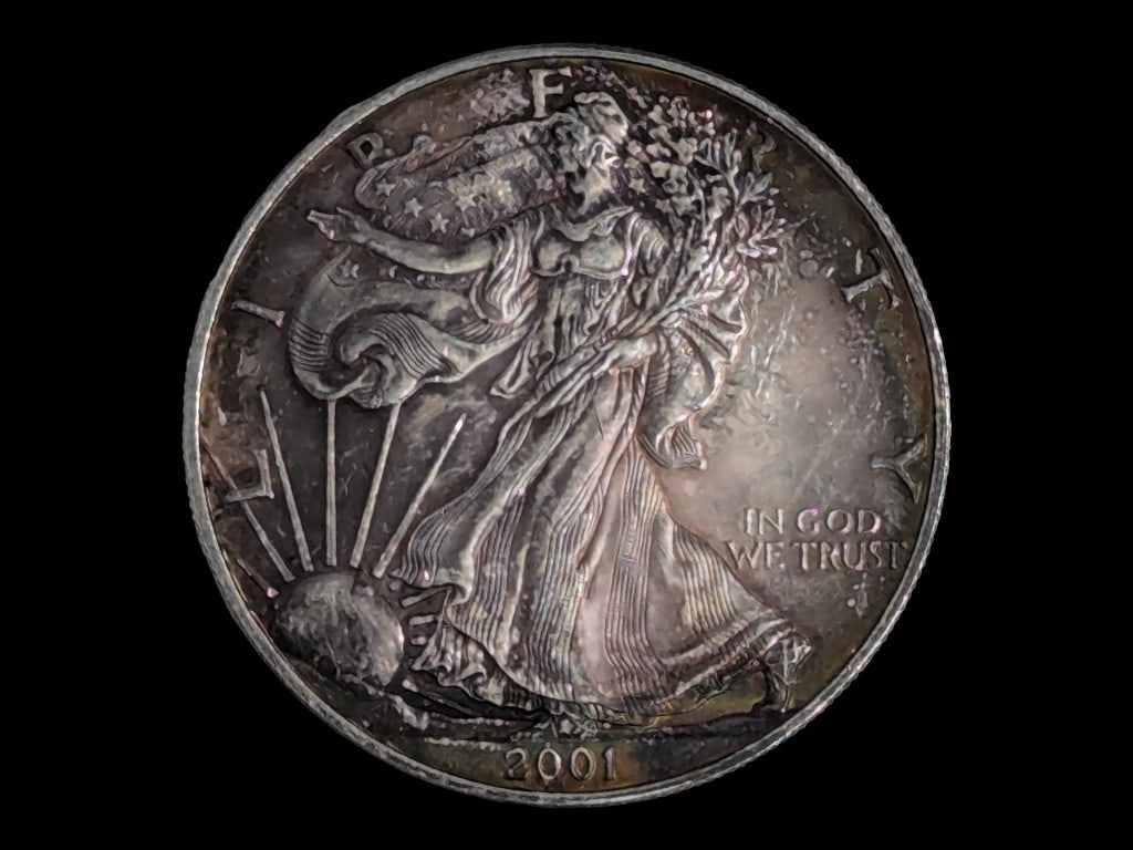FEATURE 2001 American Silver Eagle - Toned! (1 of 2)