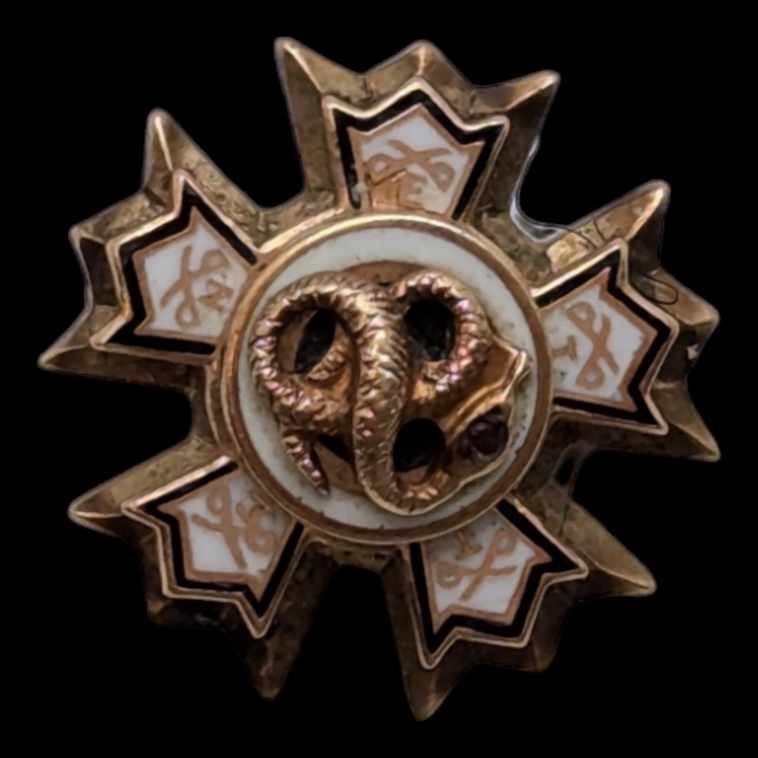 10K Gold Small Vintage Mini Sigma Nu Fraternity Pin - 3.32 grams (1 of 4)