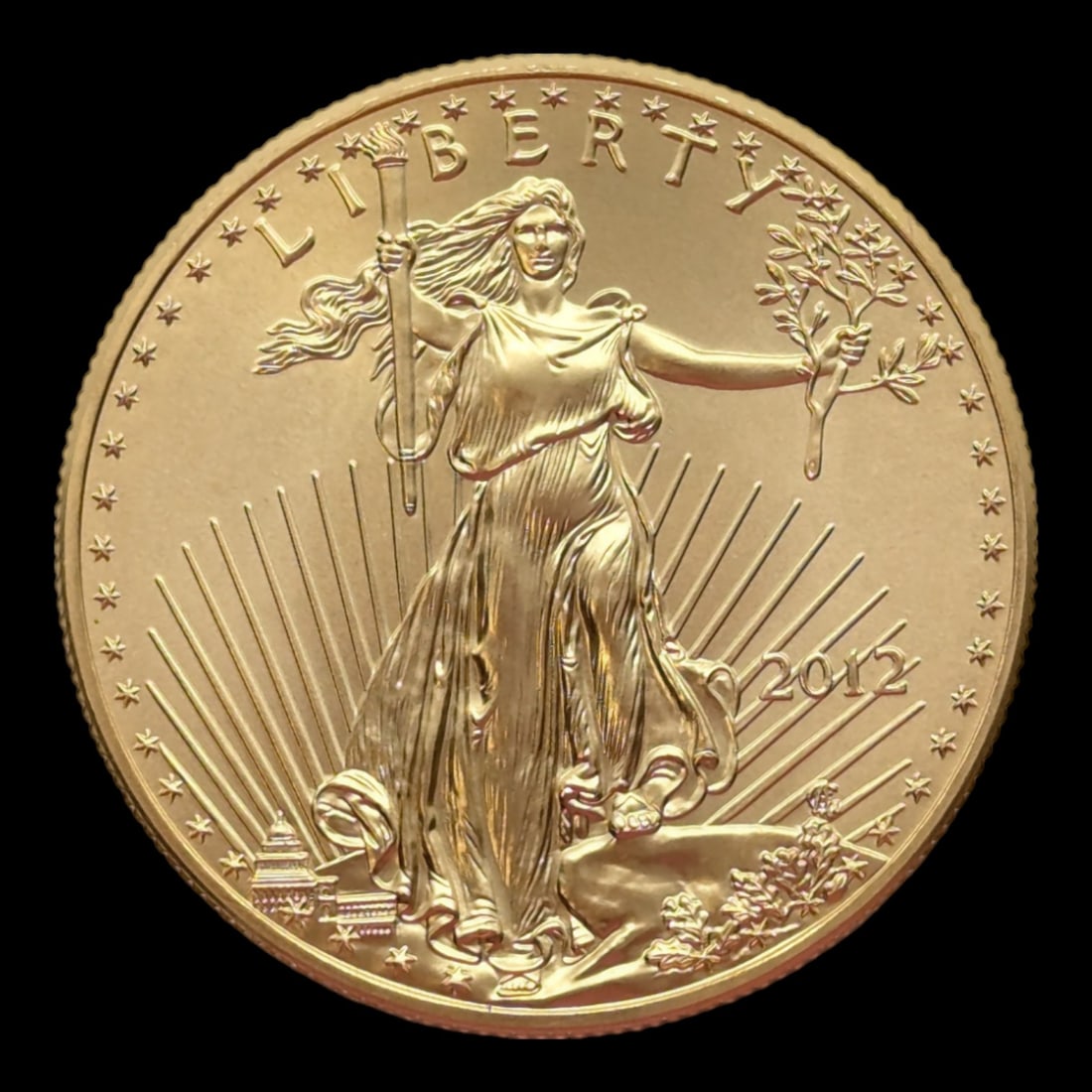 2012 Gold Eagle $50 Coin (1 of 2)
