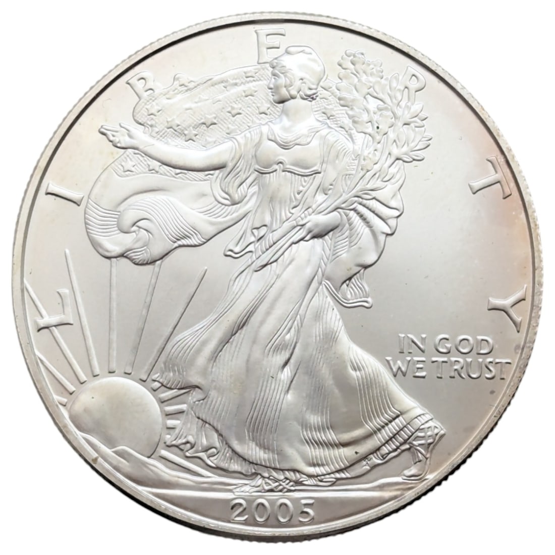 2005 American Silver Eagle Dollar - Toned (1 of 2)