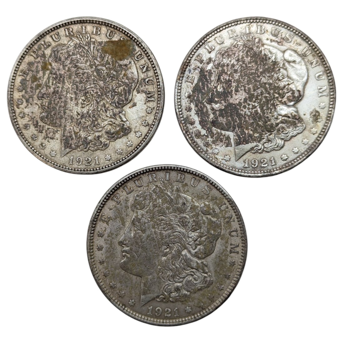 Lot of 3 - 1921 P/S Morgan Silver Dollars (1 of 2)