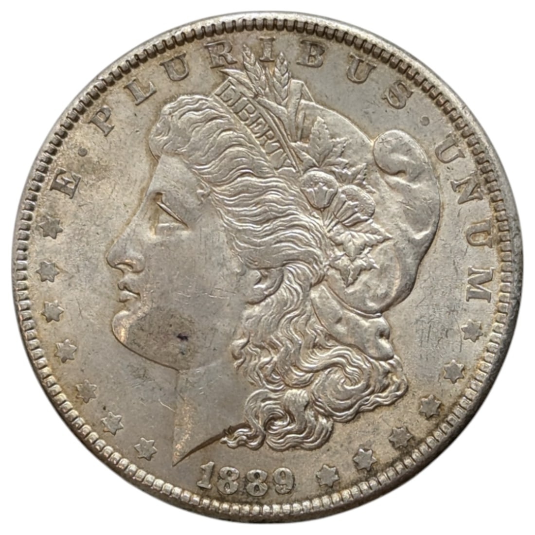 1889 Morgan Silver Dollar: Silver