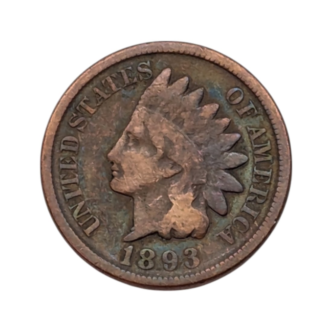 1893 Indian Head Cent: Coin
