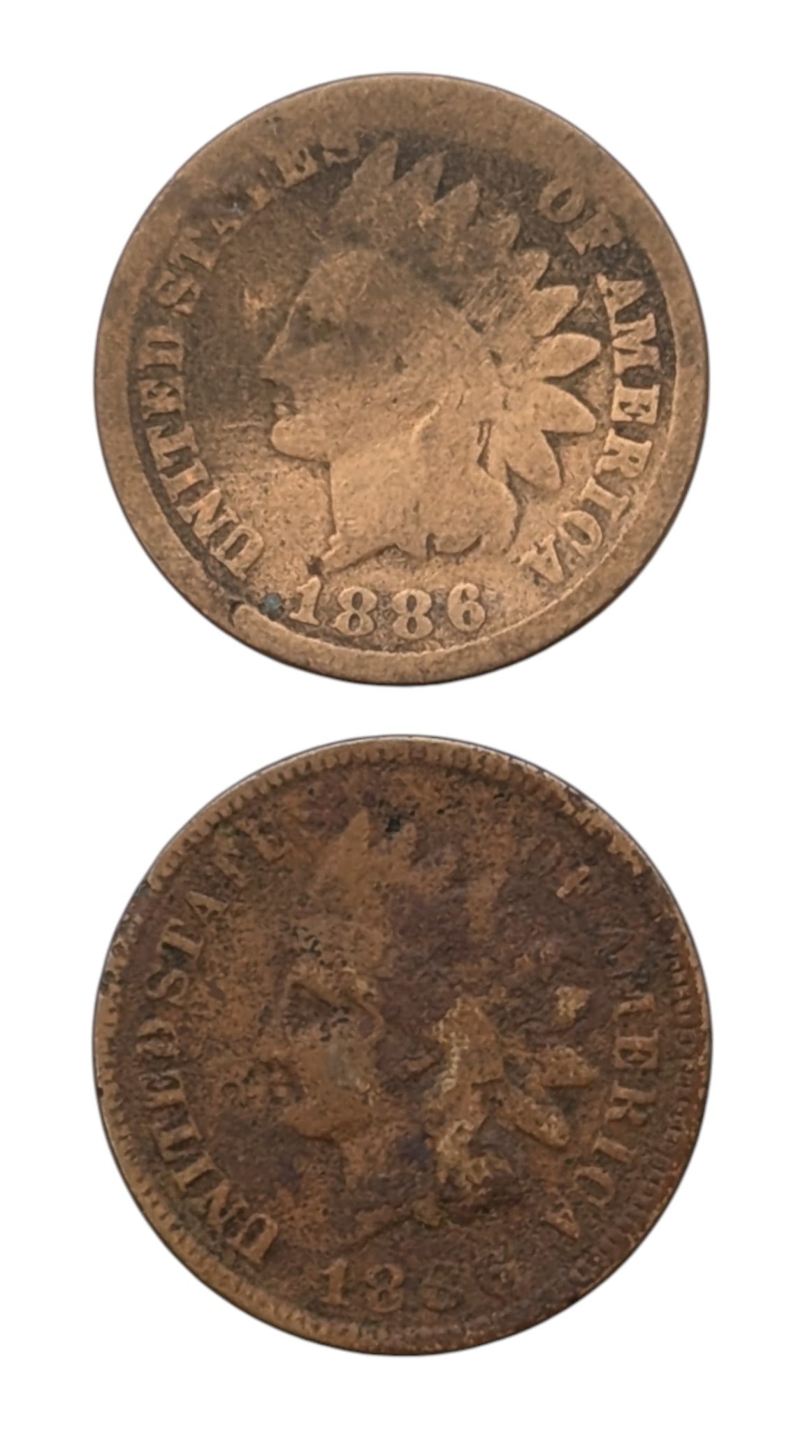 Lot of 2 Indian Head Cents - Both 1886 (1 of 2)