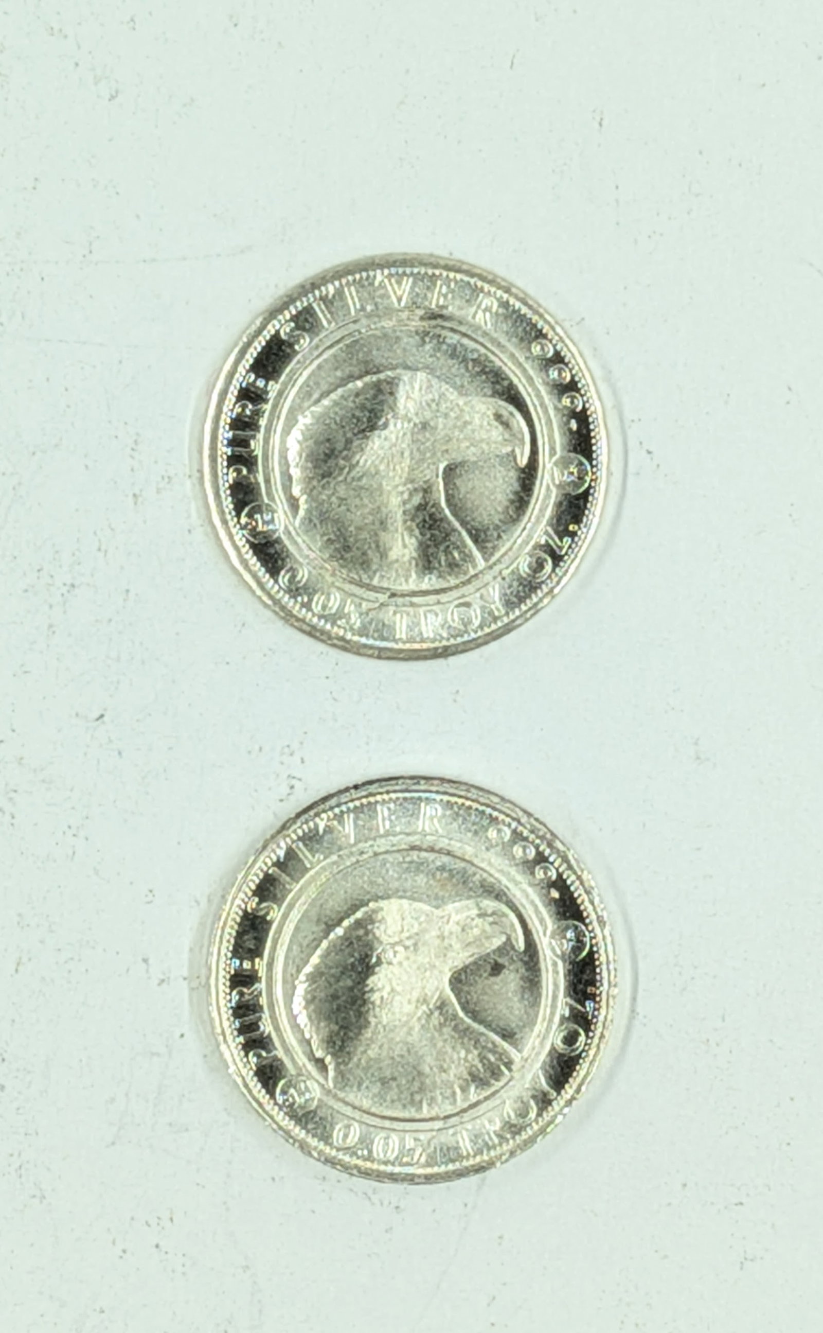 Lot of 2 - 0.05 oz Fine .999 Silver Mini-rounds - PG&G: Silver