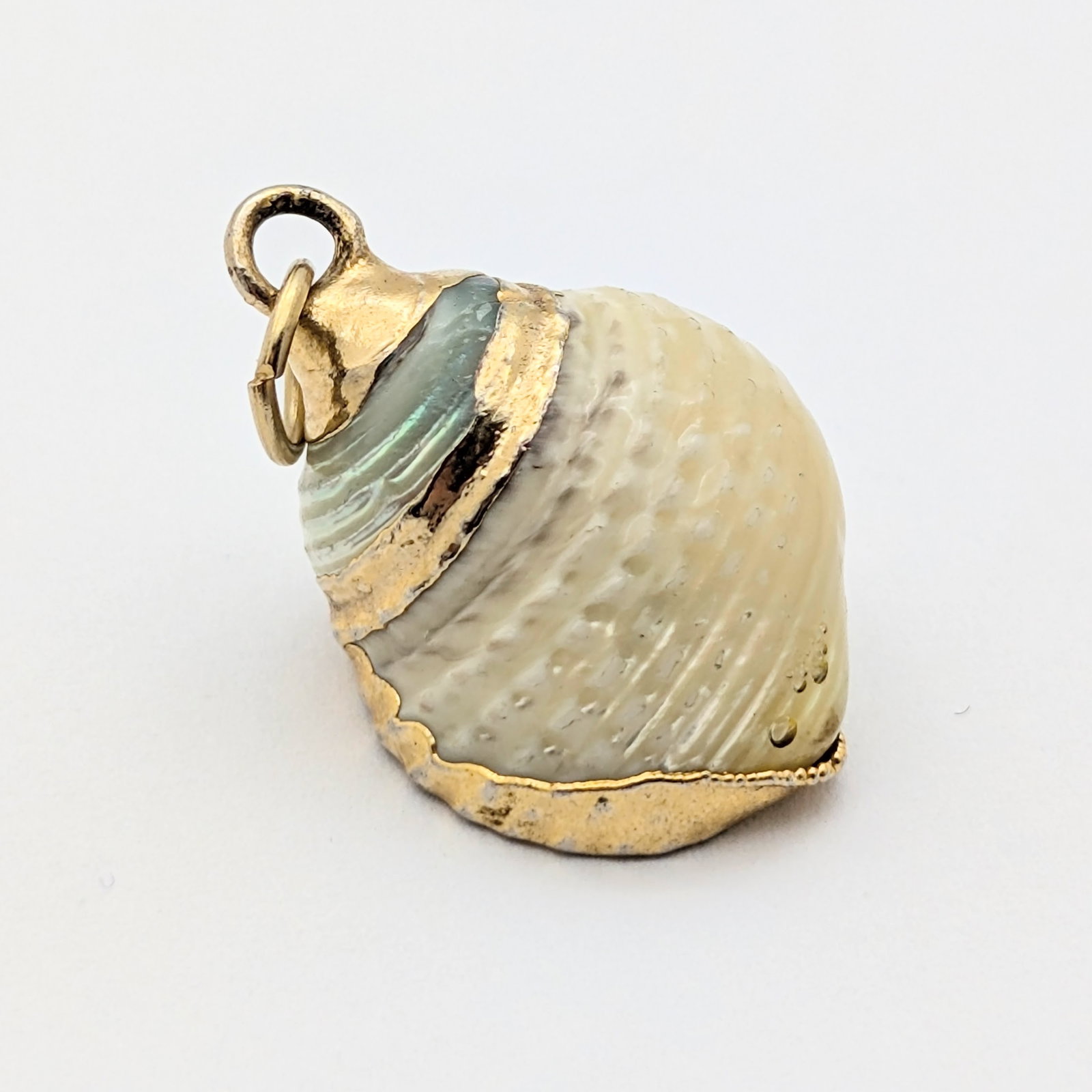 Genuine Seashell Pendant with Gold Toned Accents: Jewelry