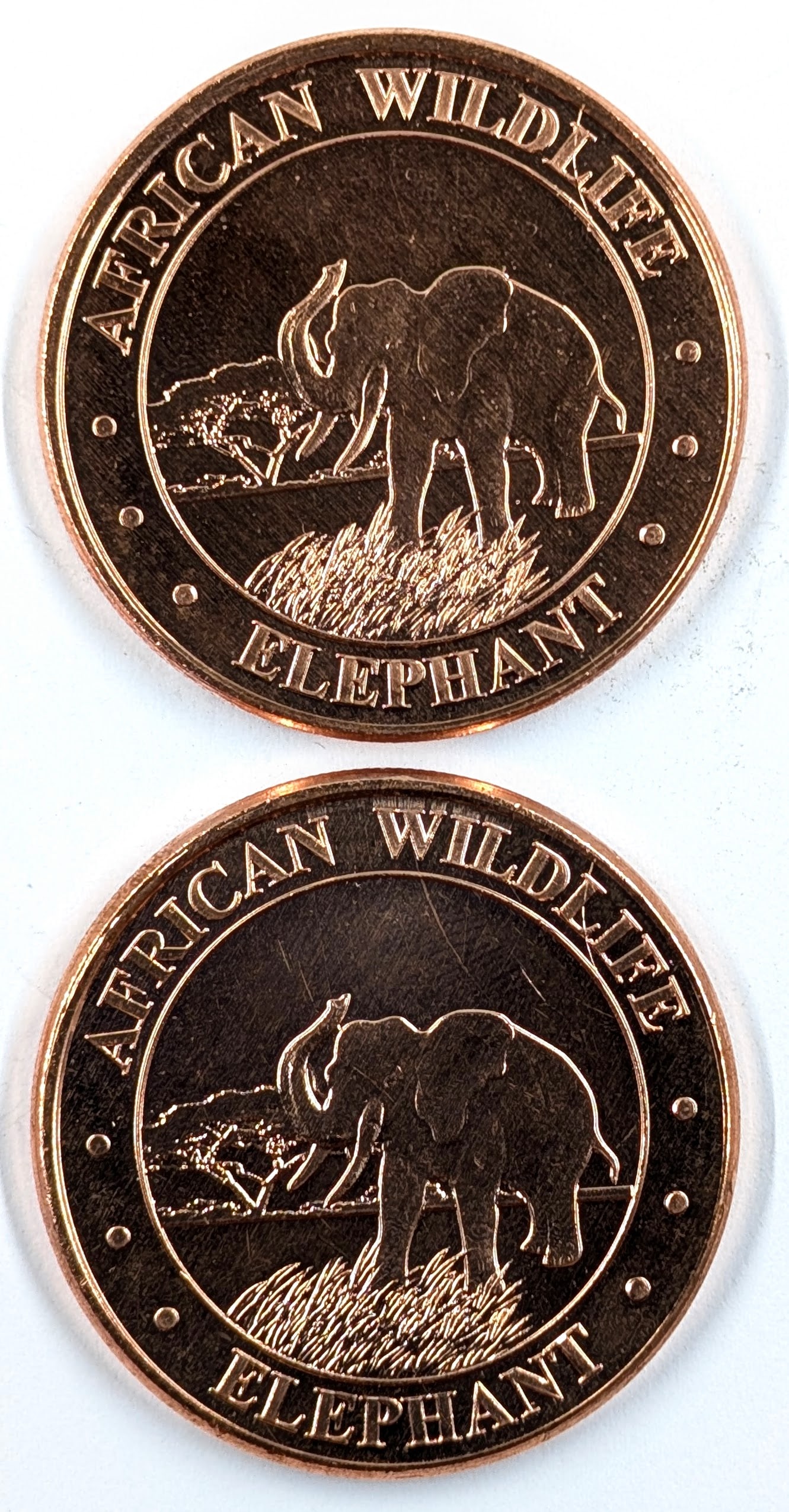 Lot of 2 - 1 Ounce (each) Fine .999 Copper Rounds - African Wildlife: Copper