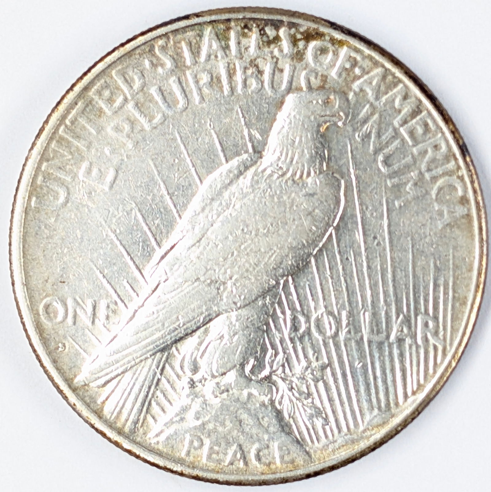 1926 Silver Peace Dollar - Toned - 3