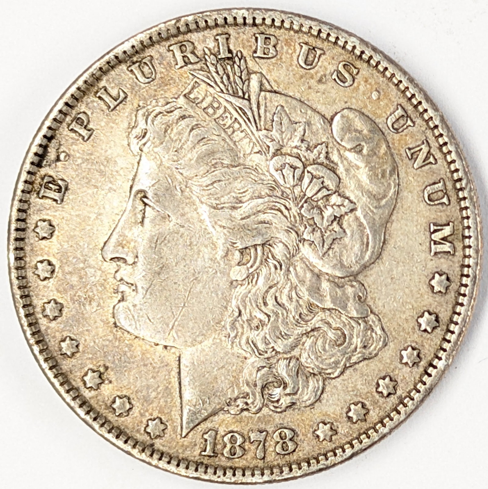 1878 Morgan Silver Dollar (1 of 2)