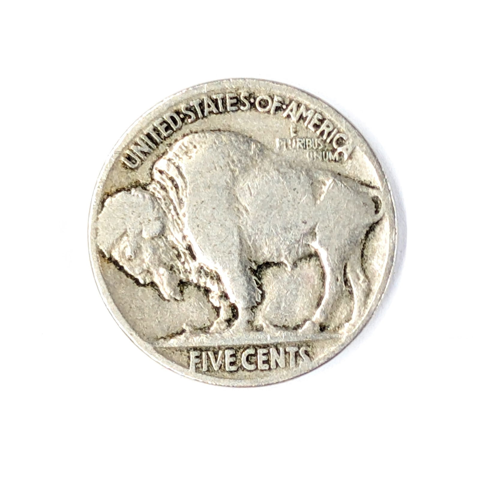1919 Buffalo Head Nickel - 2