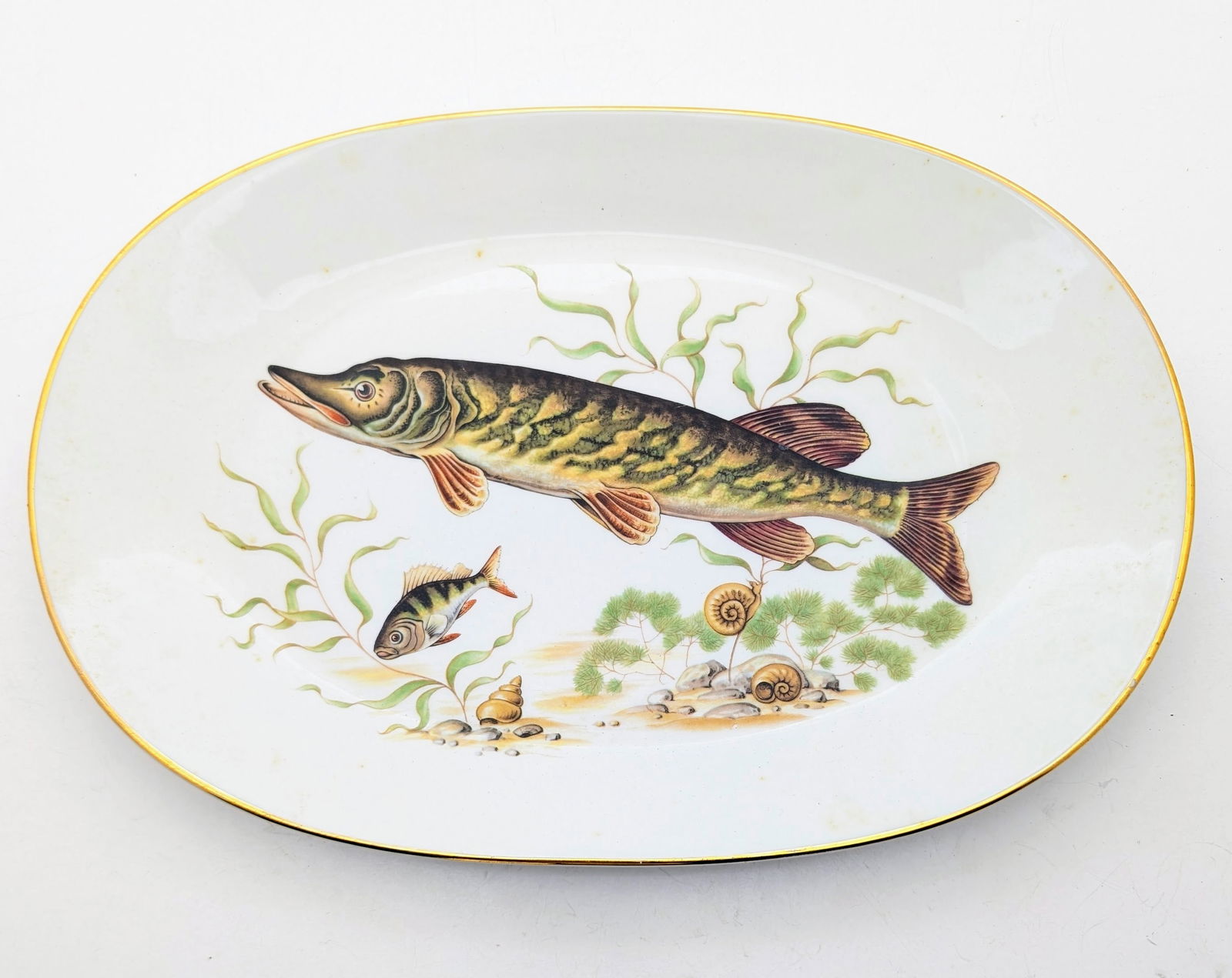 Vintage Bavaria Porcelain Oval Fish Platter- Made in Western Germany (1 of 2)