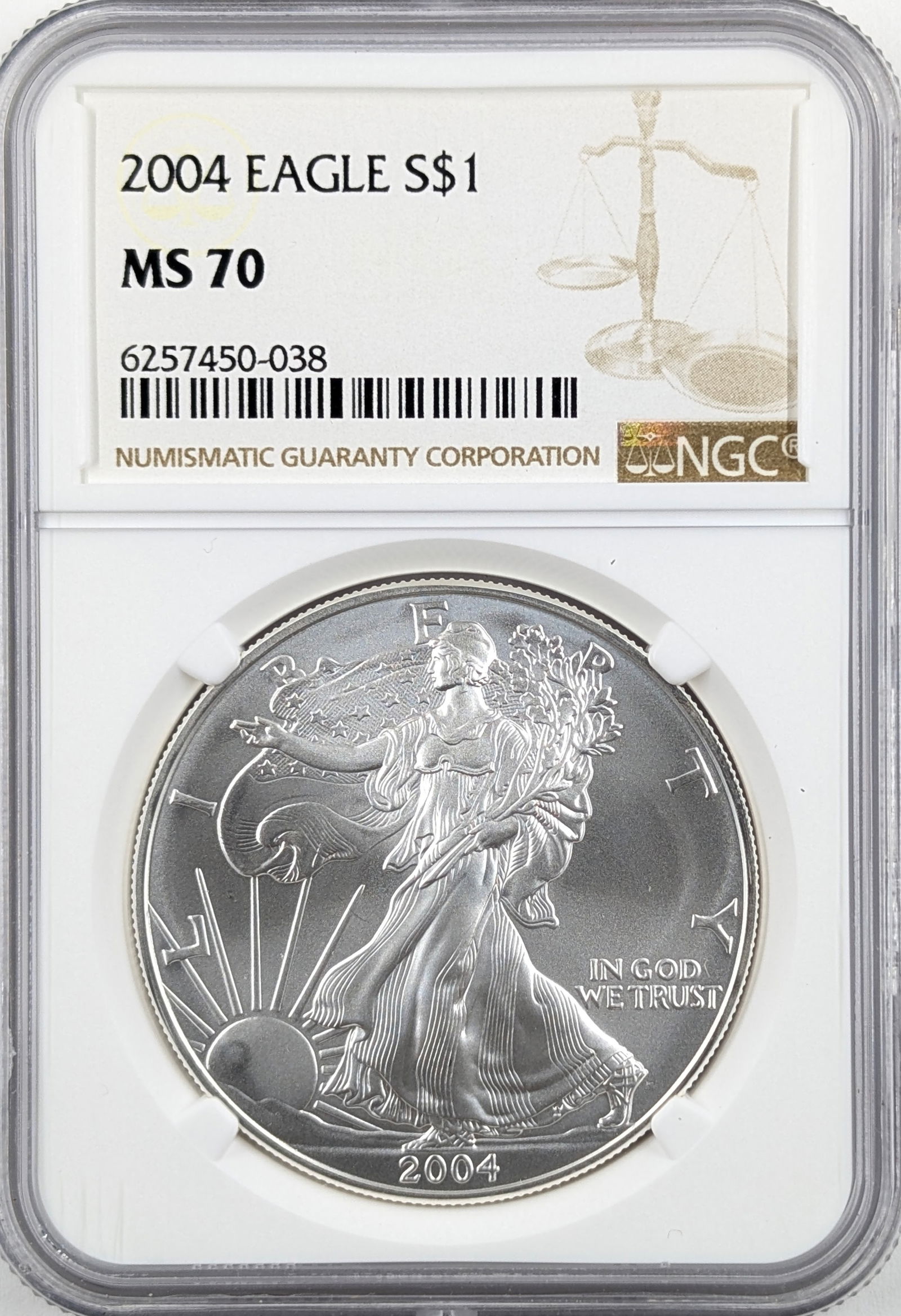 NGC 2004 MS70 American Silver Eagle Dollar: Silver 