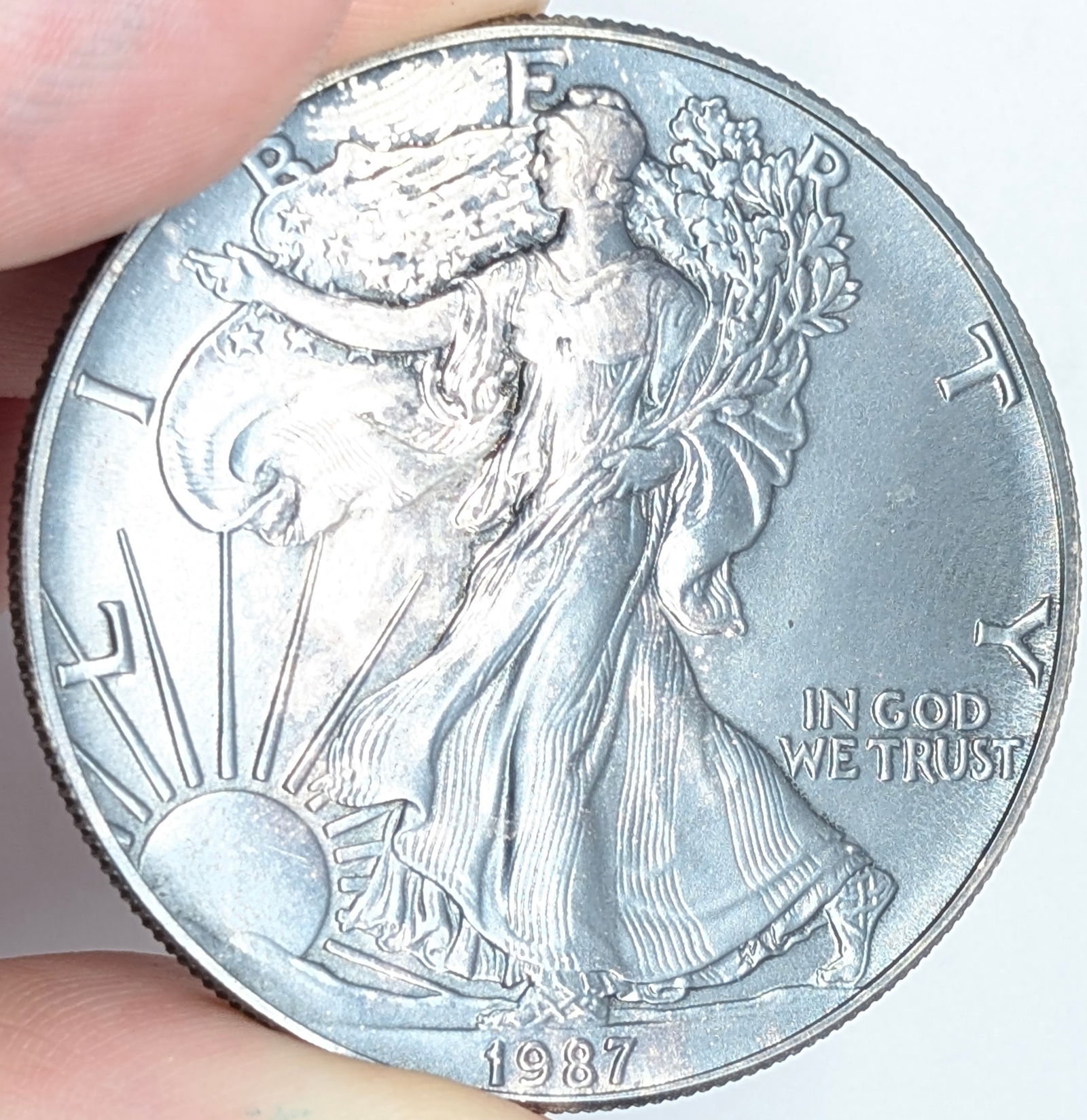 1987 American Silver Eagle Dollar - Toned (1 of 3)