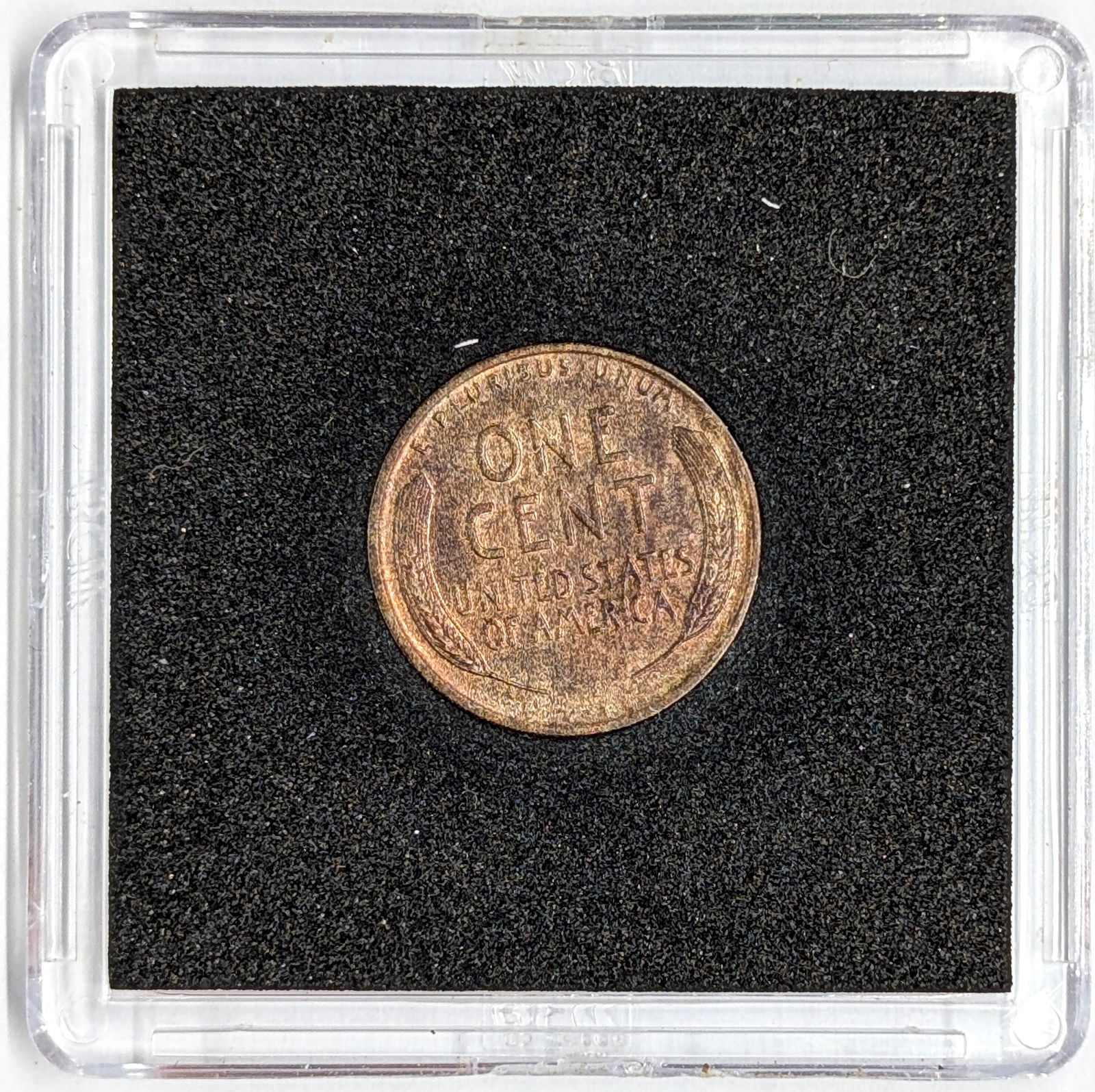 1909 VDB Wheat Cent- Key Date/Great Condition - 2