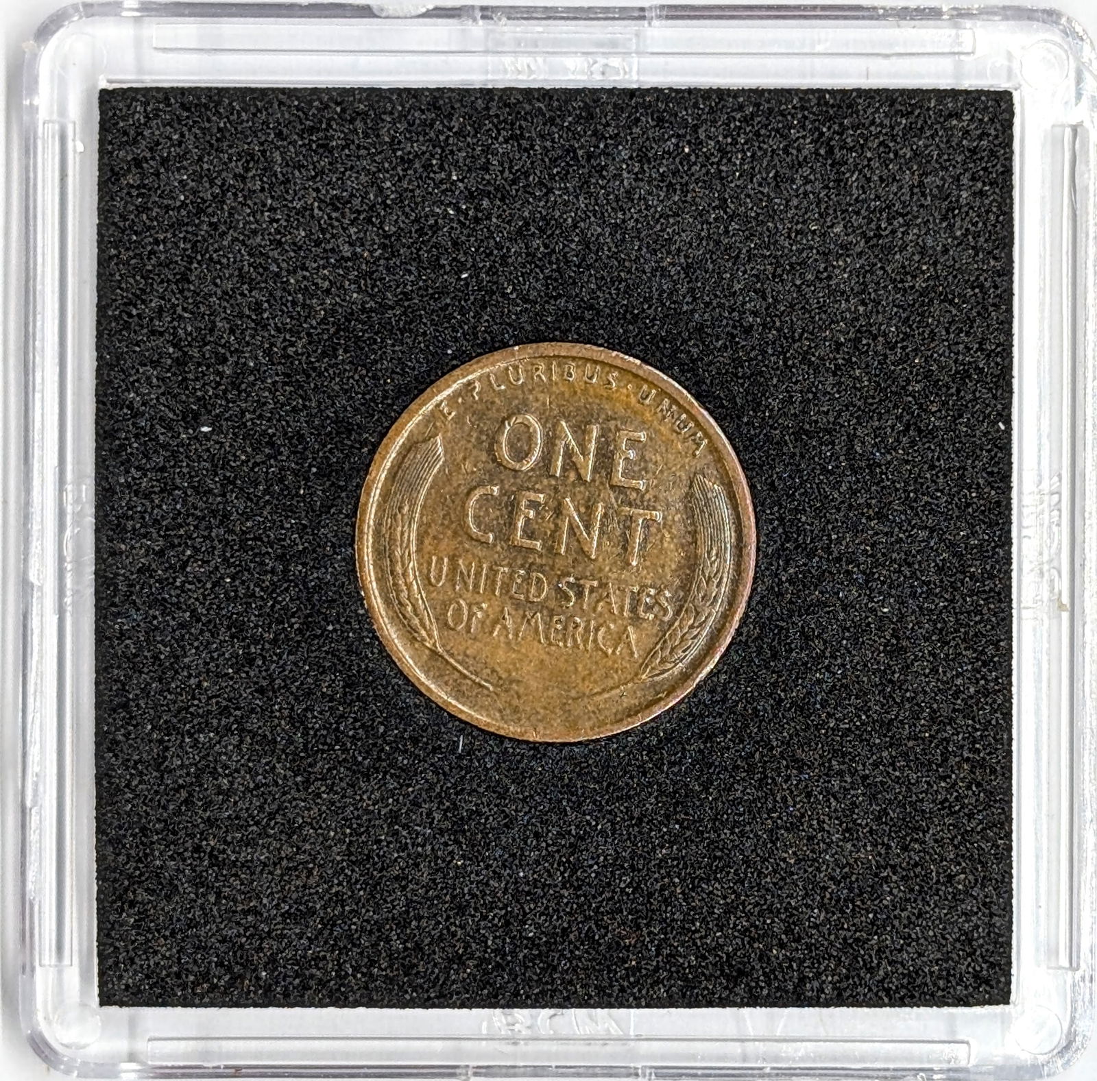 1919 Wheat Cent - XF - 2