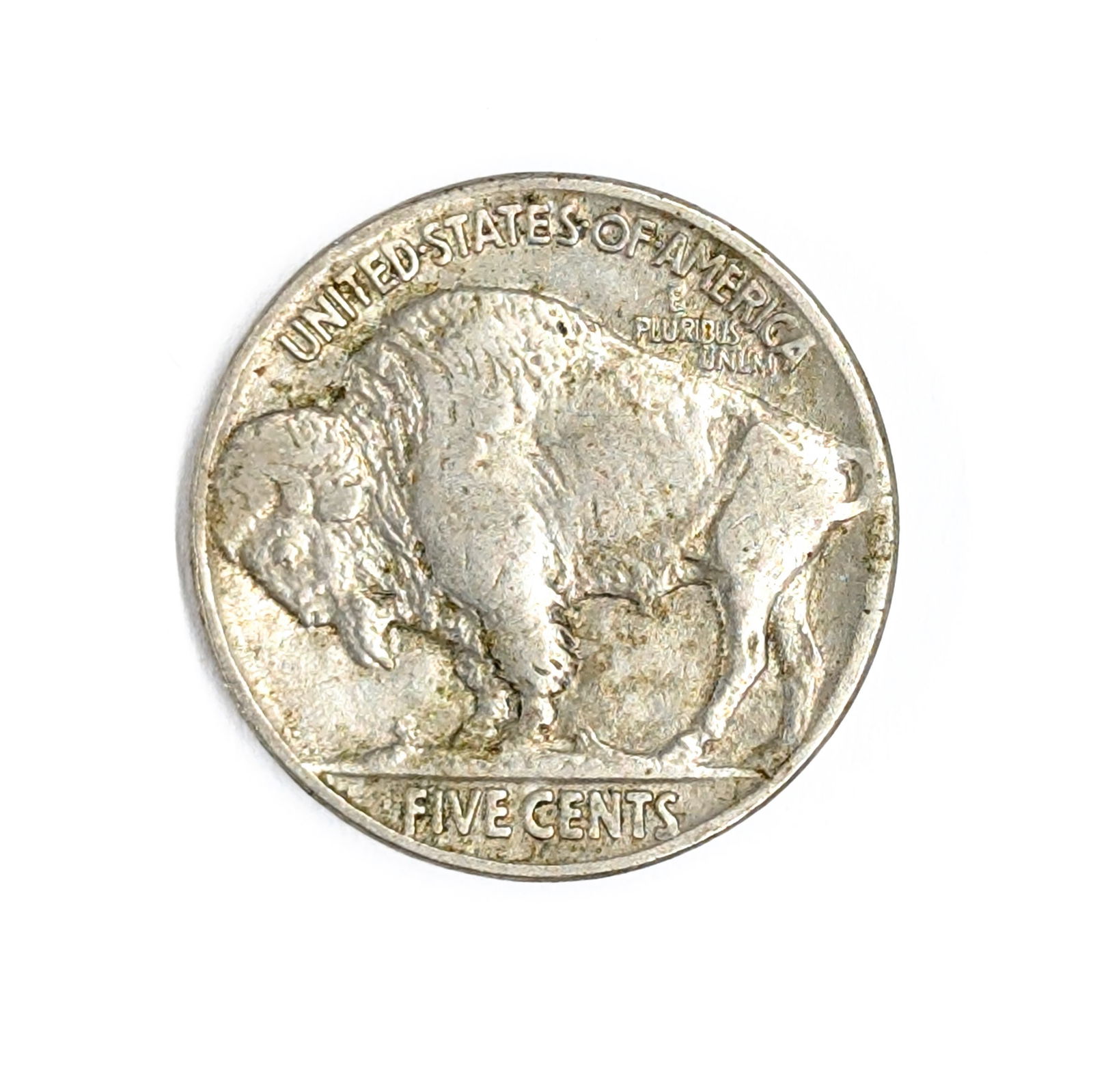 1929 Buffalo Head Nickel - 2