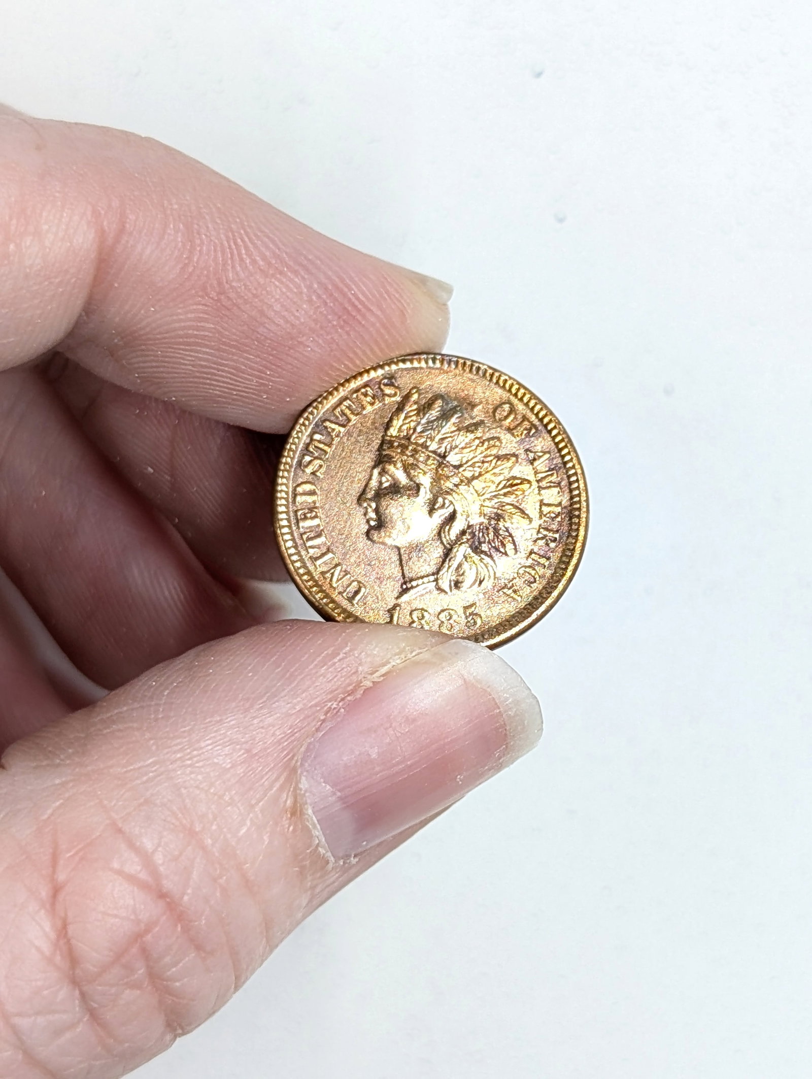 1885 Indian Cent - Fantastic Condition - 3