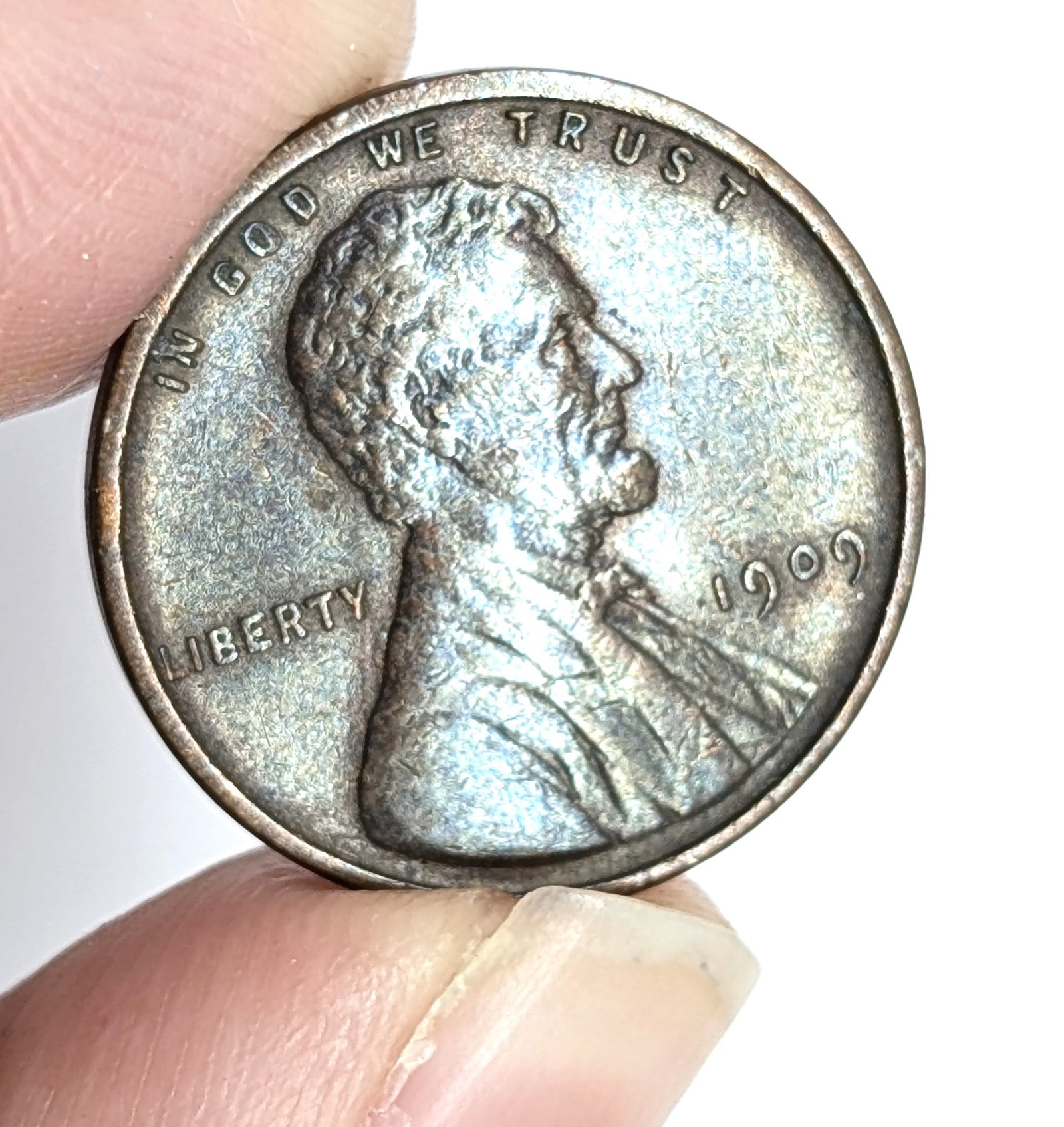 1909 Wheat Cent- Toned: _