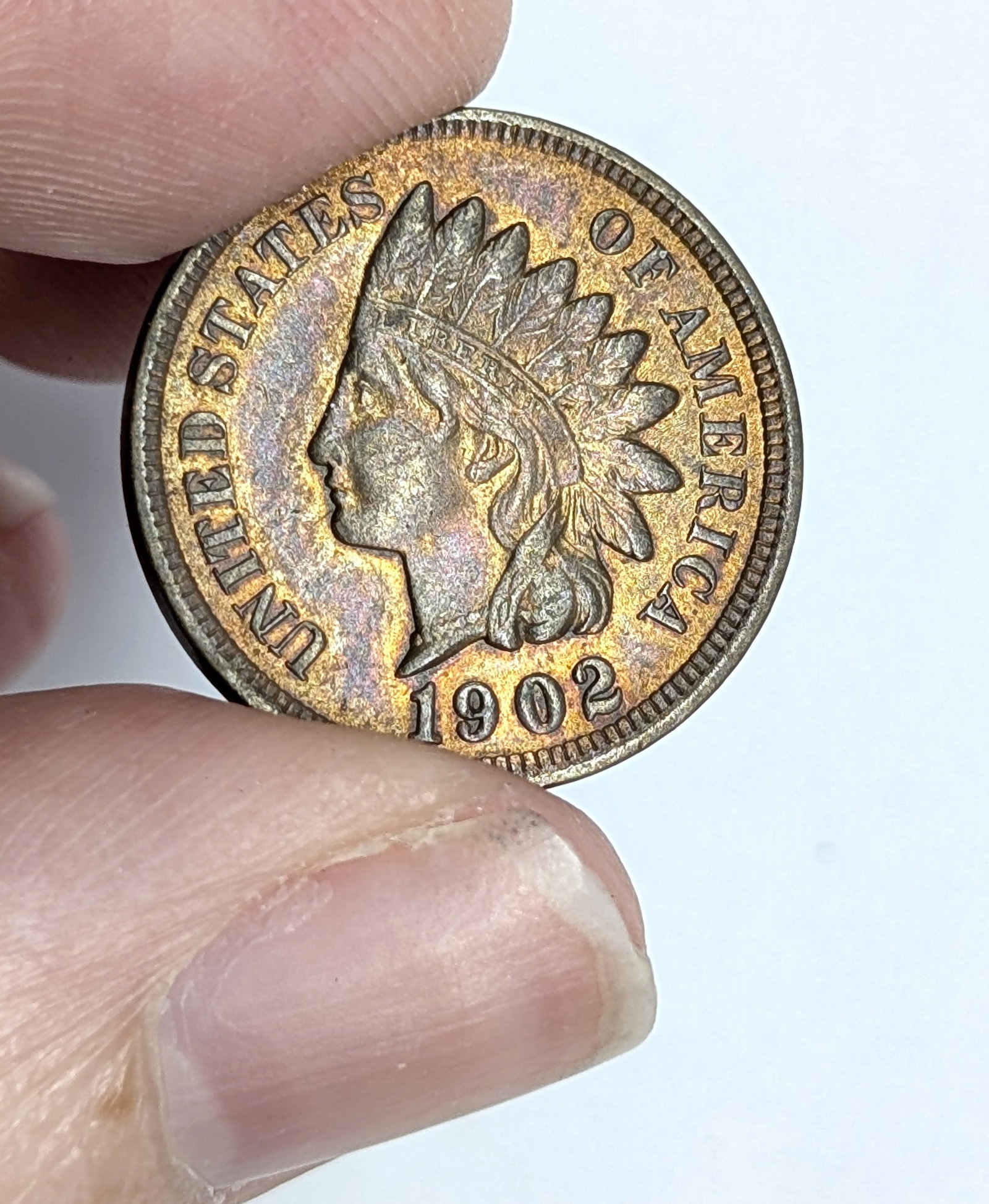 1902 Indian Head Cent- Full Liberty, Toned - 3