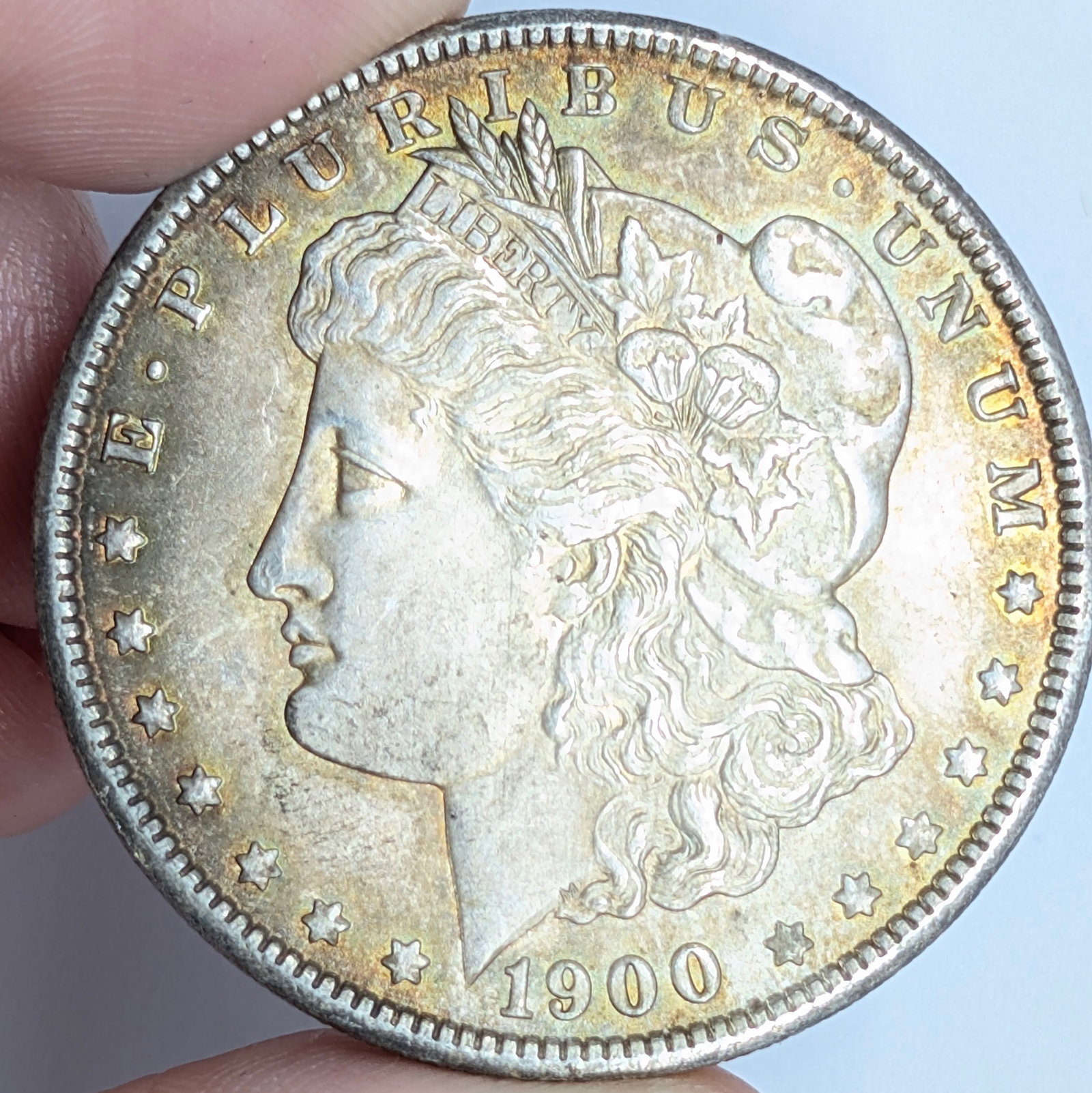1900 Morgan Silver Dollar - AU, Toned (1 of 3)