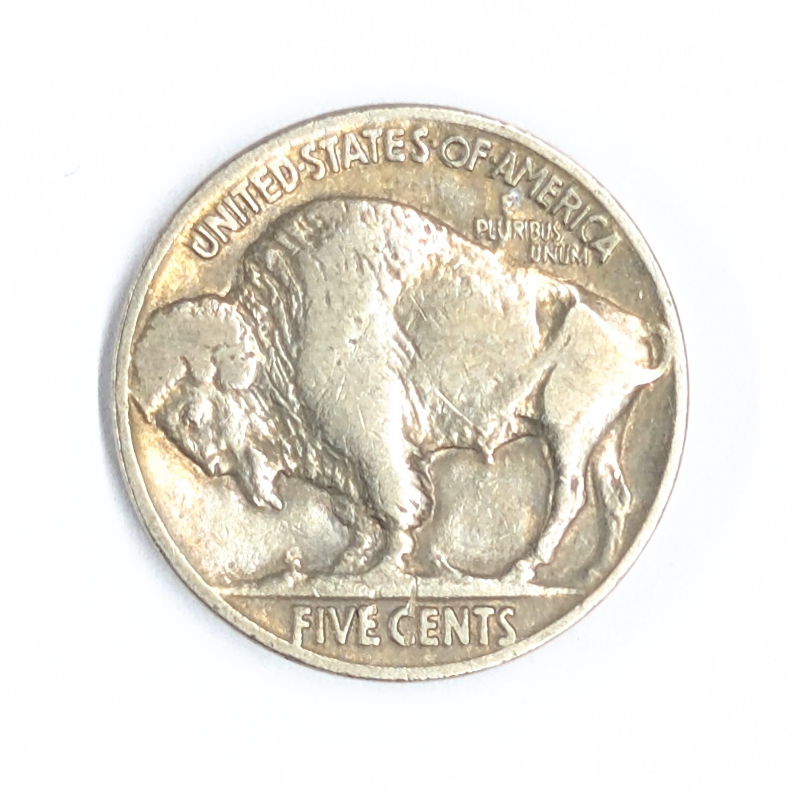 1929 Buffalo Head Nickel - 2