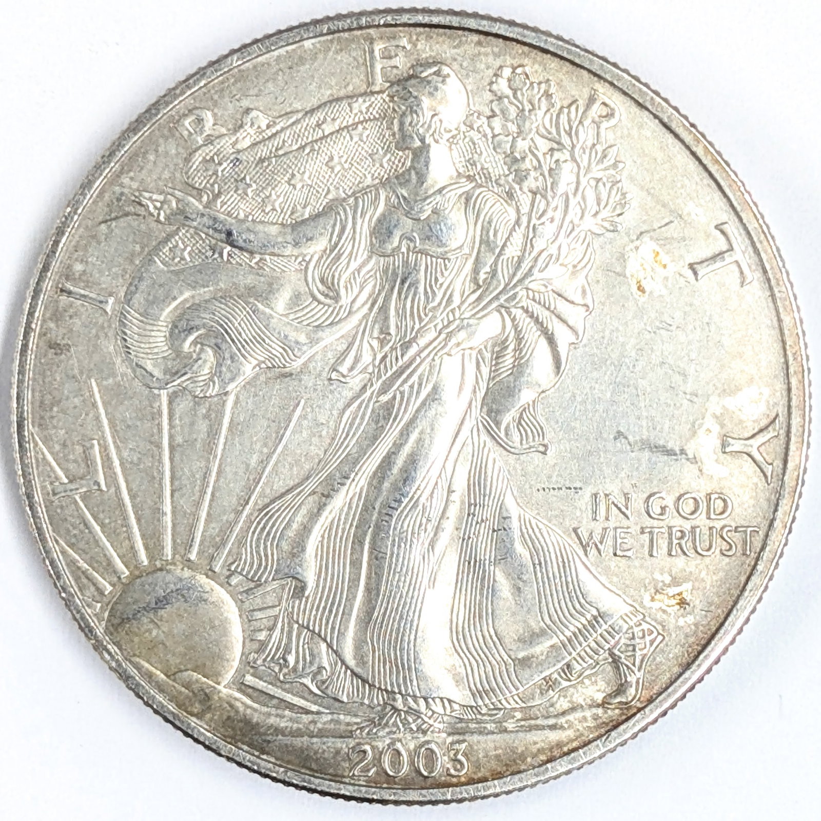 2003 American Silver Eagle Dollar - Lightly Toned (1 of 2)