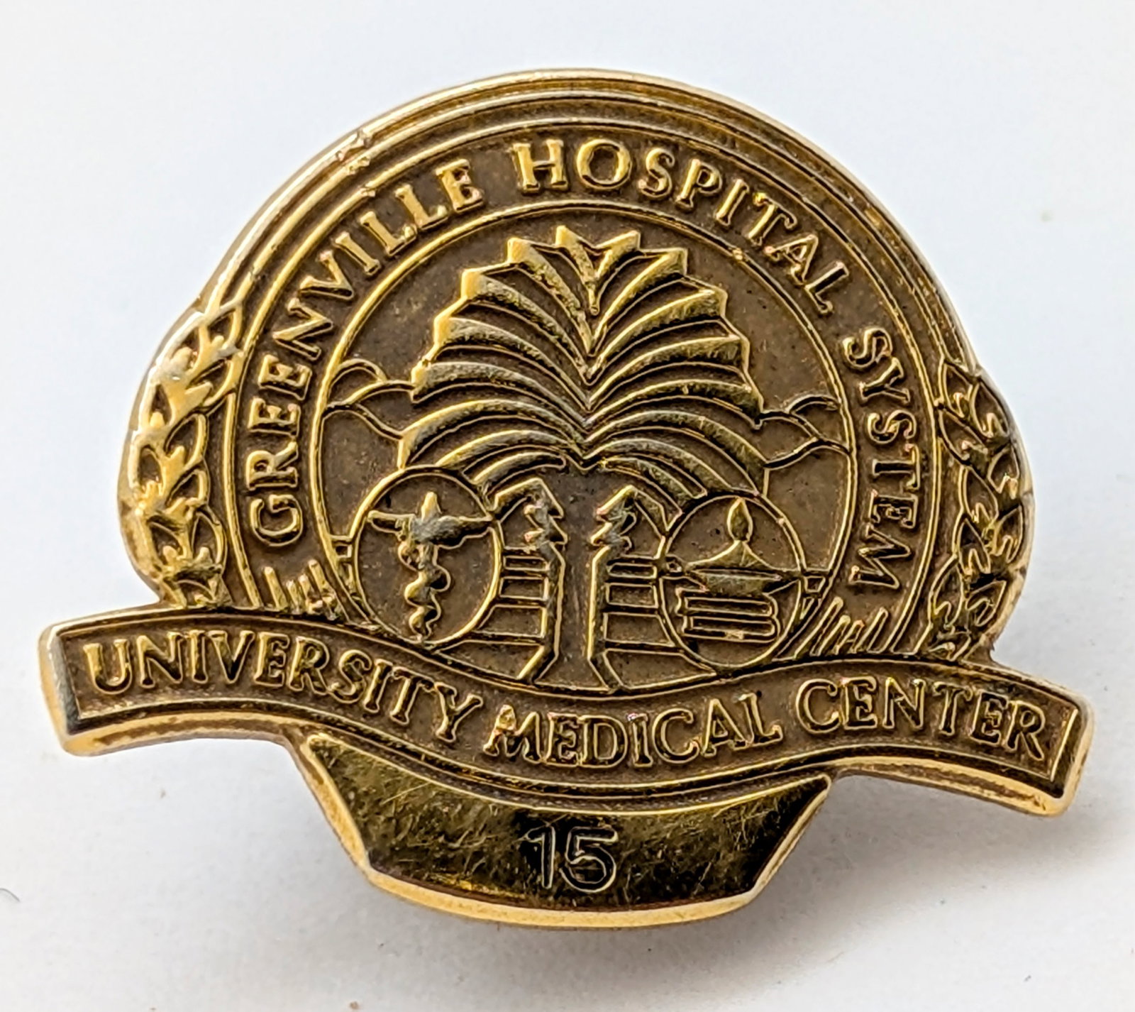 10k Gold Filled Greenville Hospital System Employee Pin: Jewelry