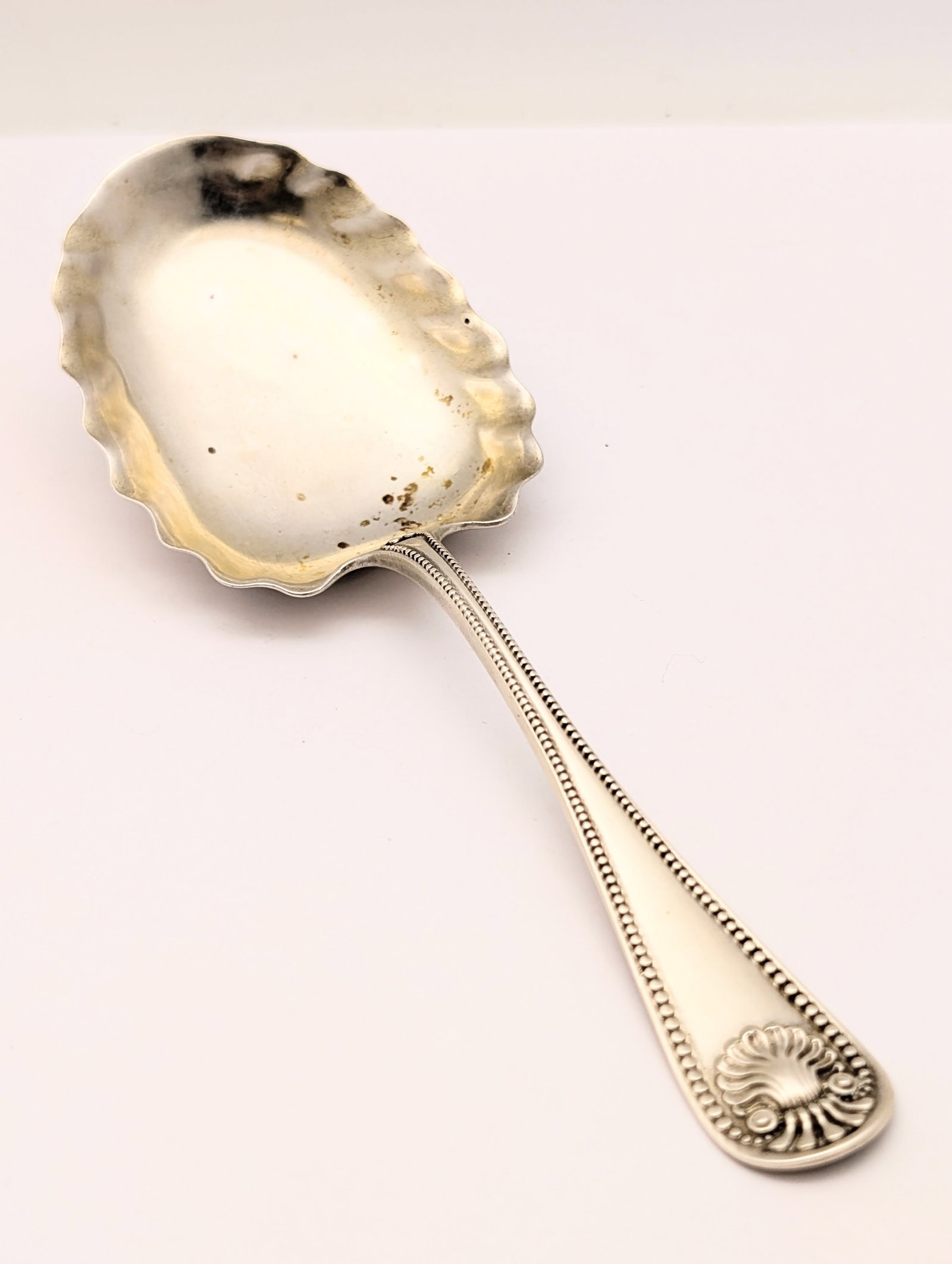Vintage Whiting Sterling Silver Sugar Shell Spoon in the Bead Pattern - 35.46 - 2