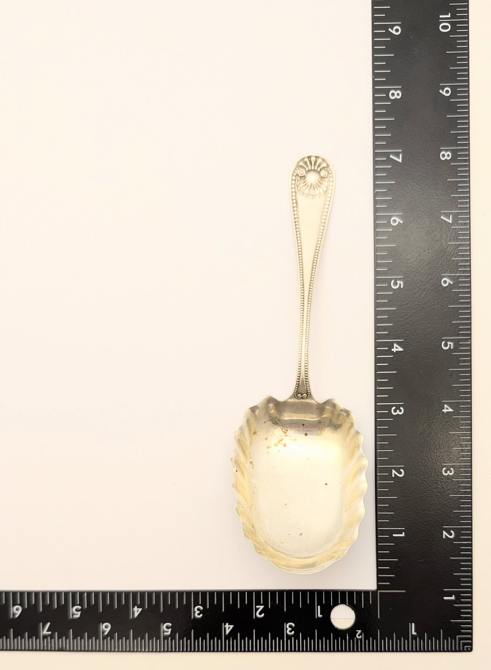 Vintage Whiting Sterling Silver Sugar Shell Spoon in the Bead Pattern - 35.46 - 6