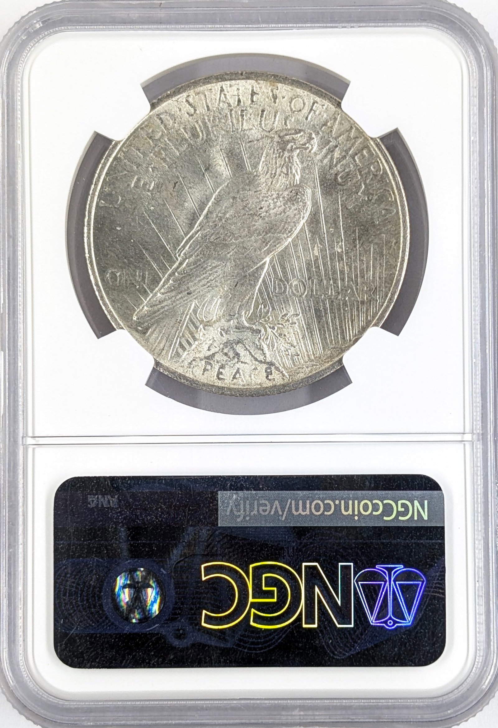 NGC 1923 MS 62 Silver Peace Dollar - 2