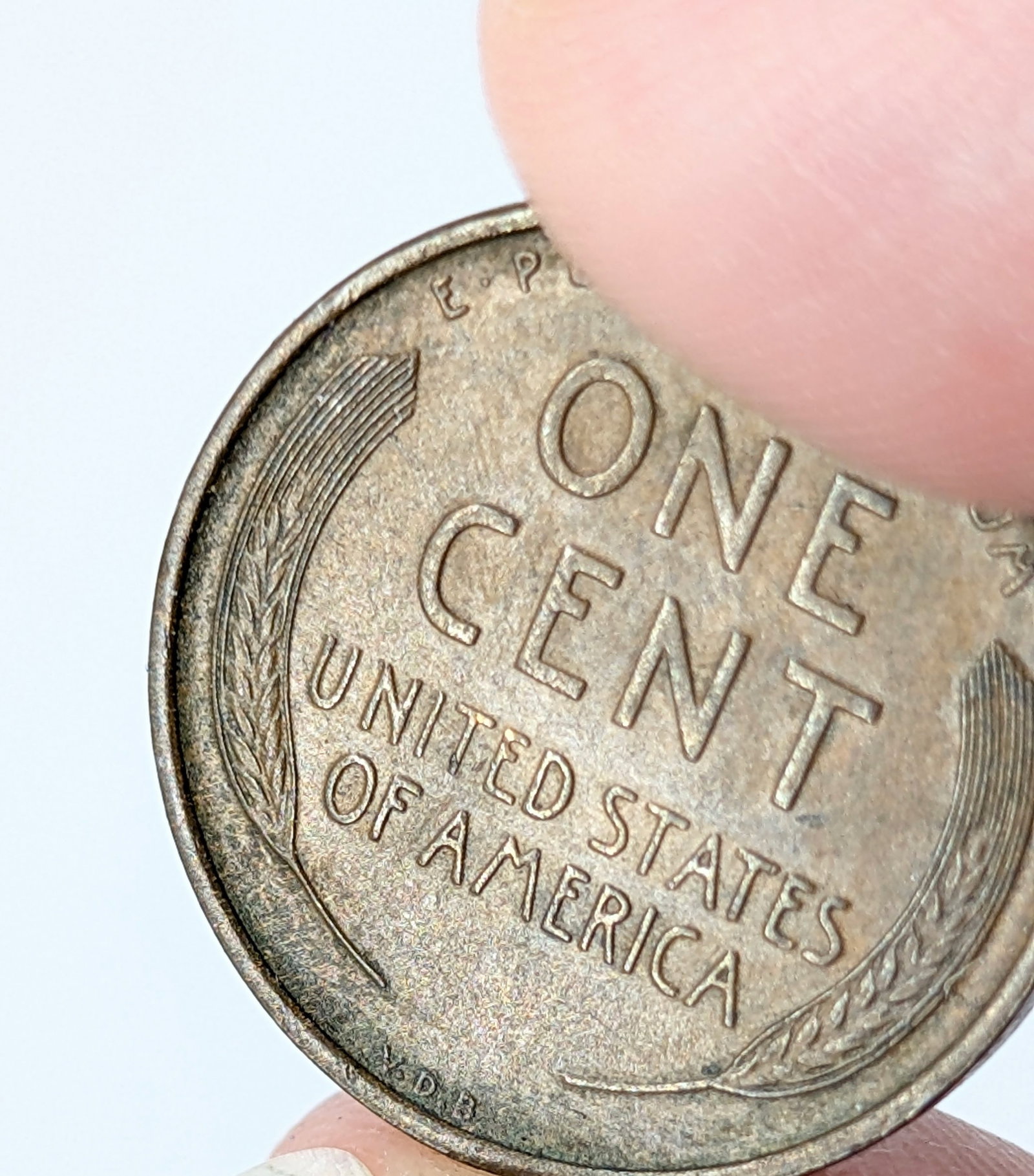 1909 VDB Wheat Cent- Semi Key Date - 3