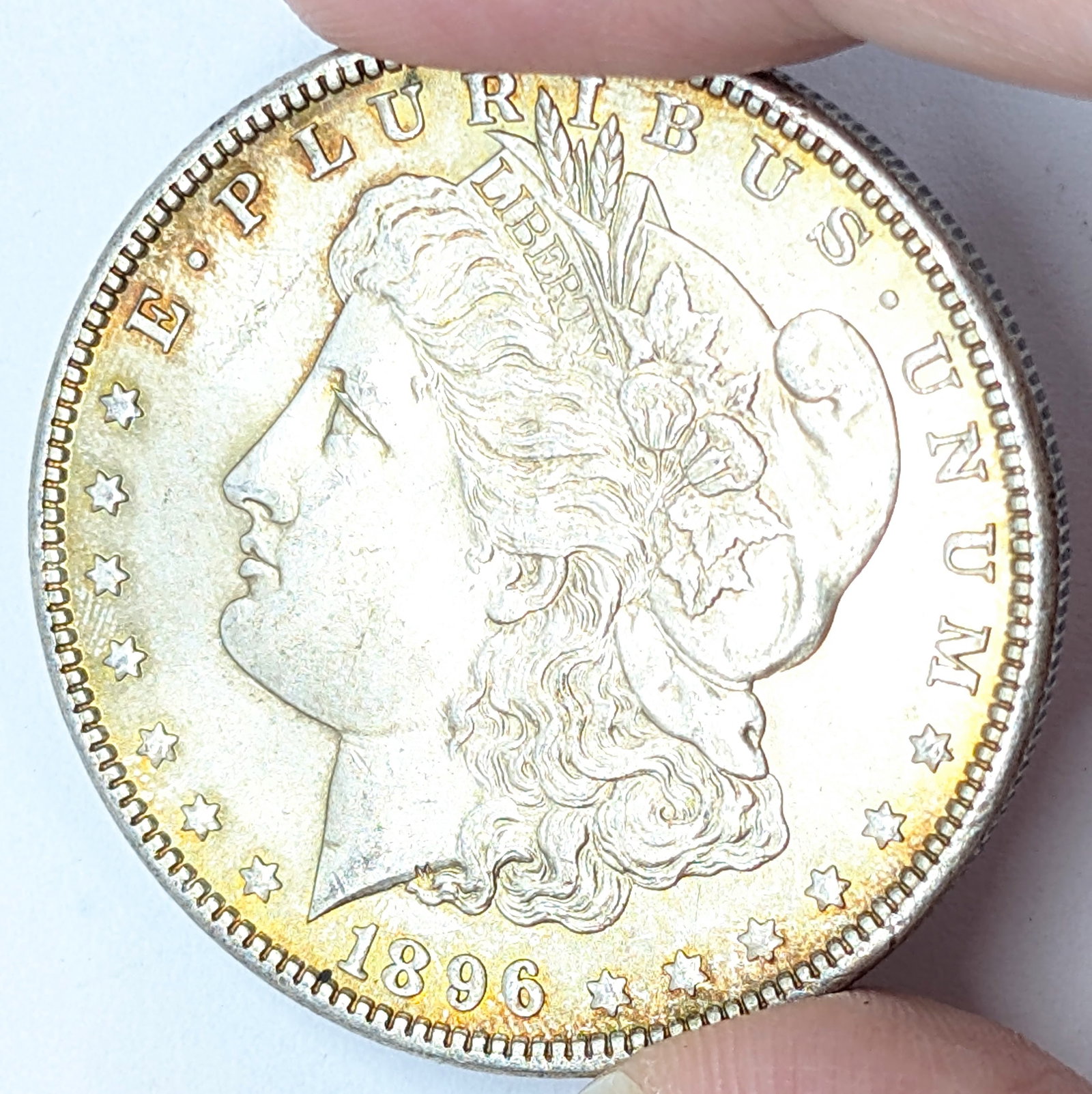 1896 Morgan Silver Dollar - Toned: Silver