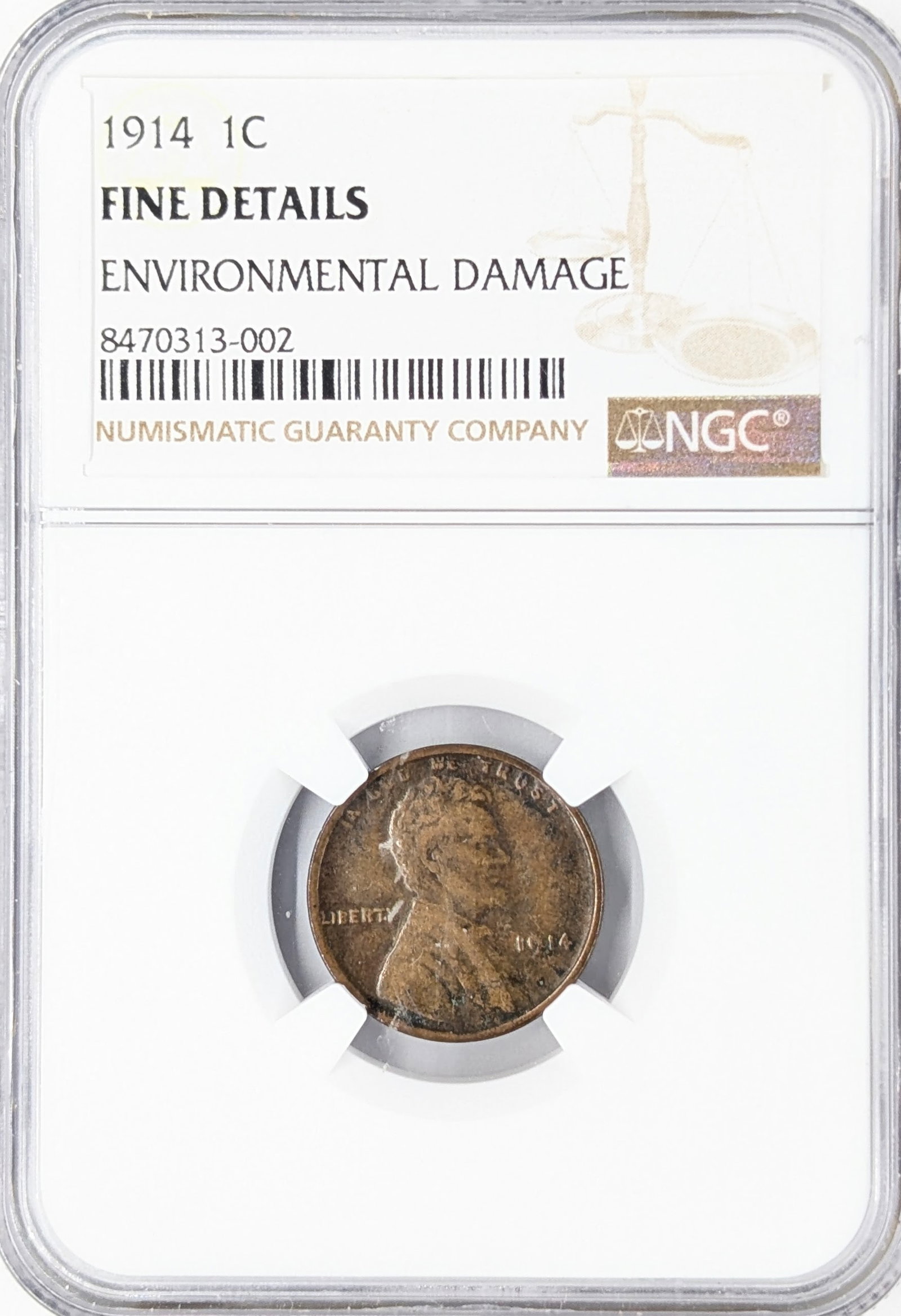 NGC 1914 F Wheat Cent: Details - Environmental Damage