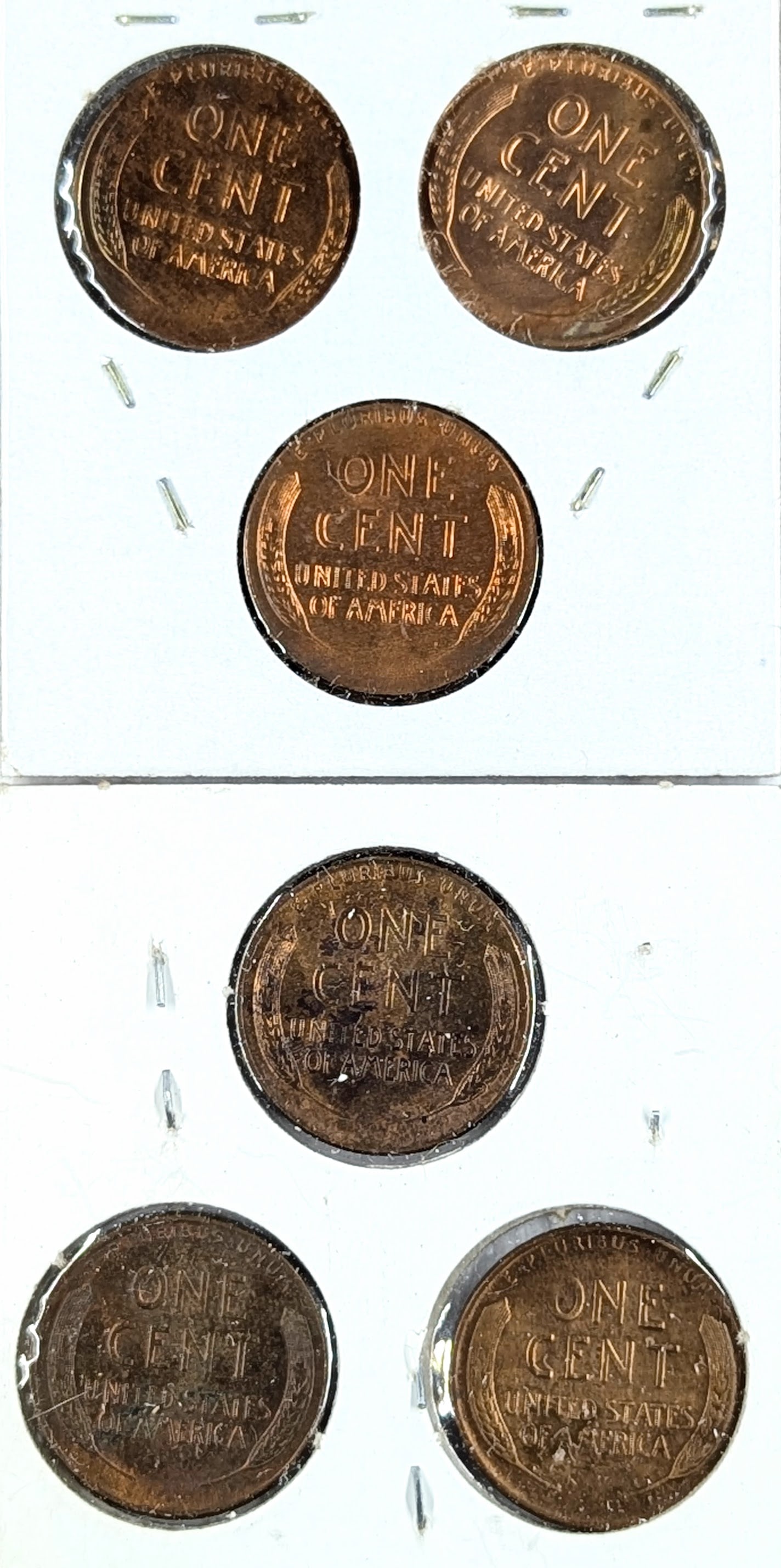 Lot of 6 Wheat Cents - 1954-1957 - 2