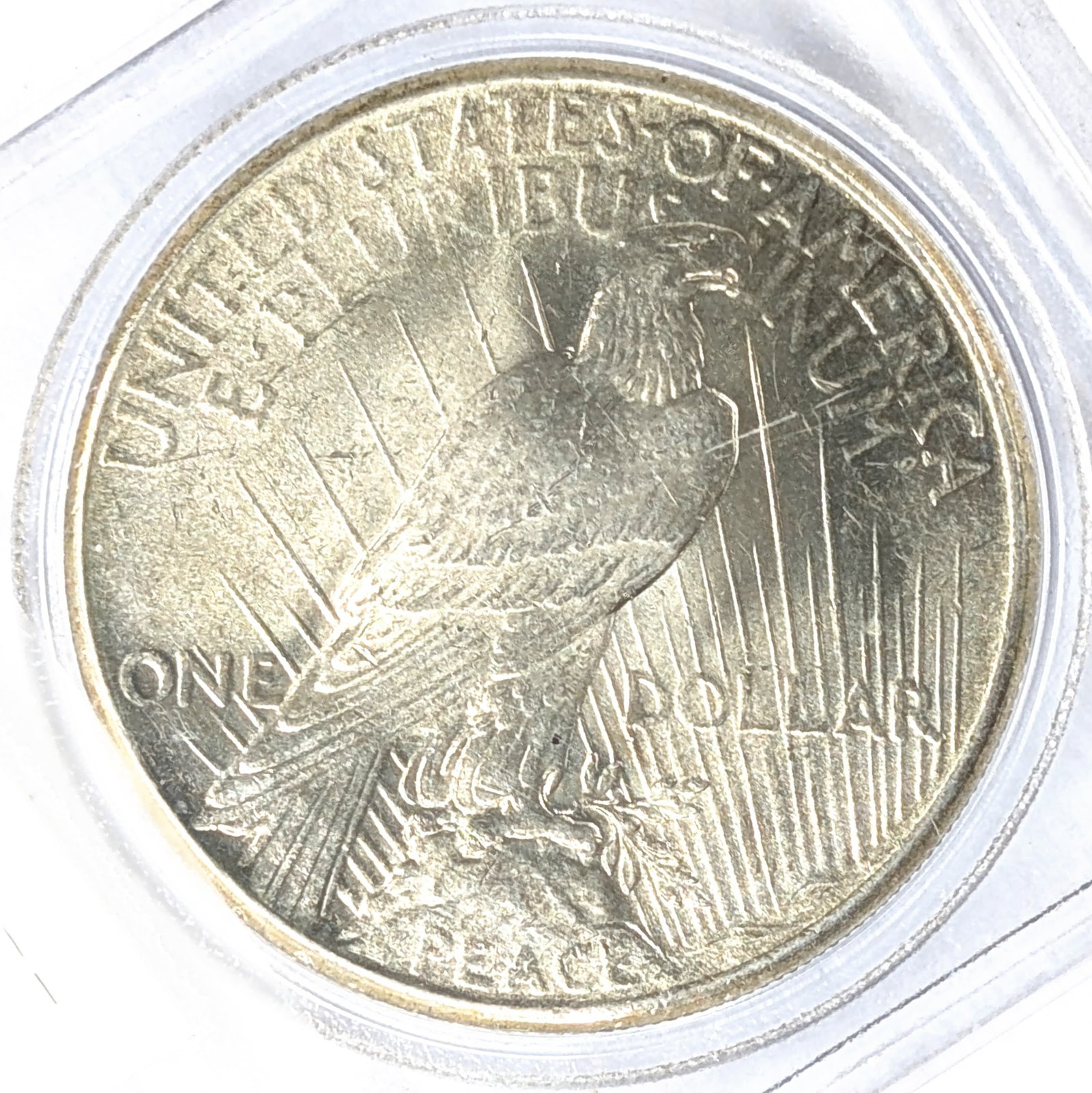 1925 Silver Peace Dollar - 2