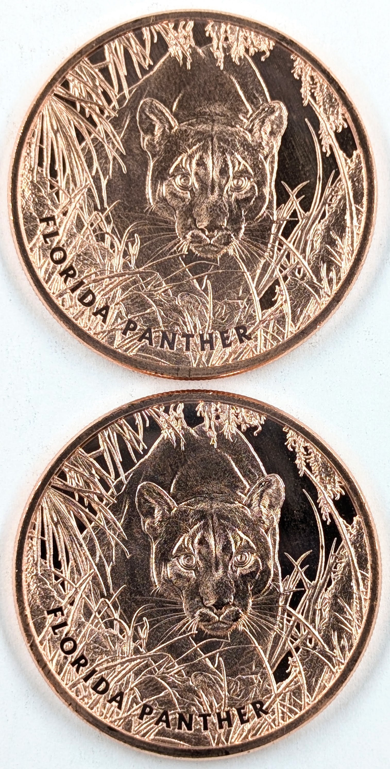 Lot of 2 - 1 Ounce (each) Fine .999 Copper Rounds- Florida Panther (1 of 2)