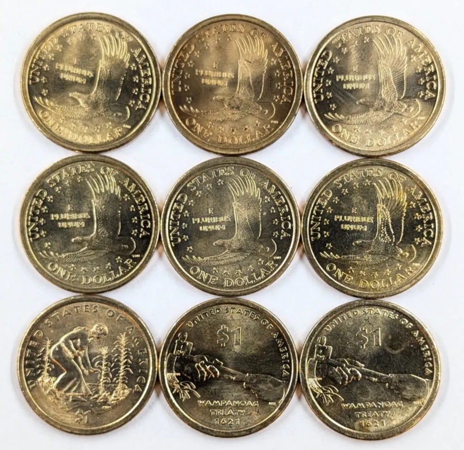 Lot of 9 Sacagawea Dollars-2000-2011 - 2