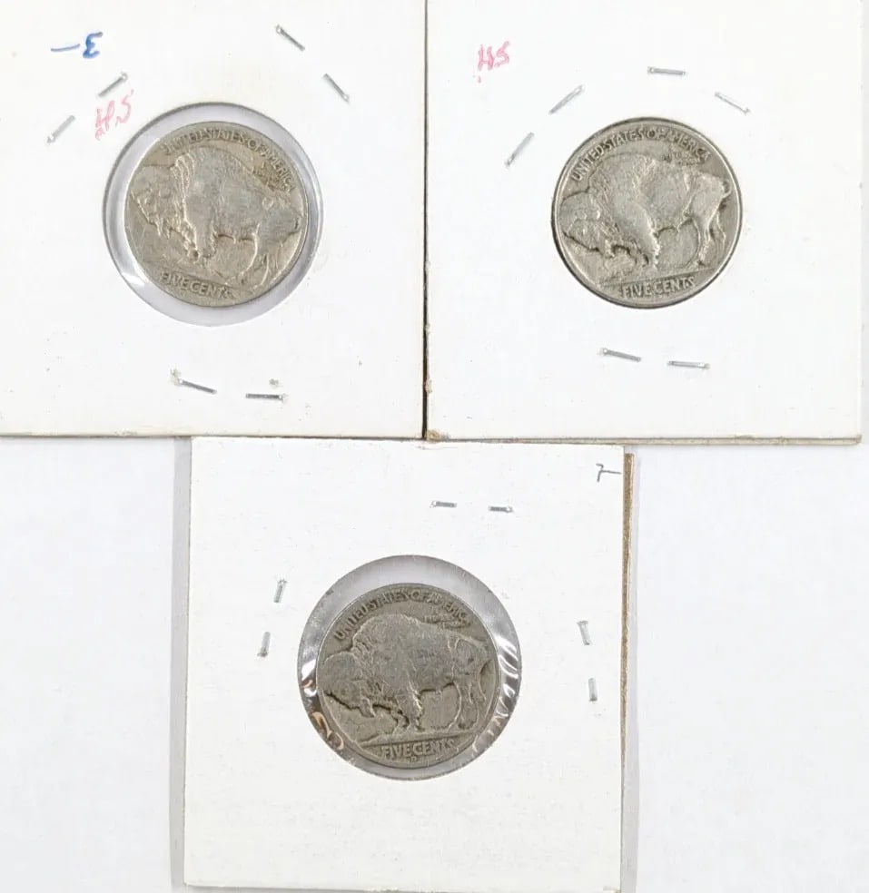 Lot of 3 Buffalo Head Nickels- 1934, 1935 P/D - 2