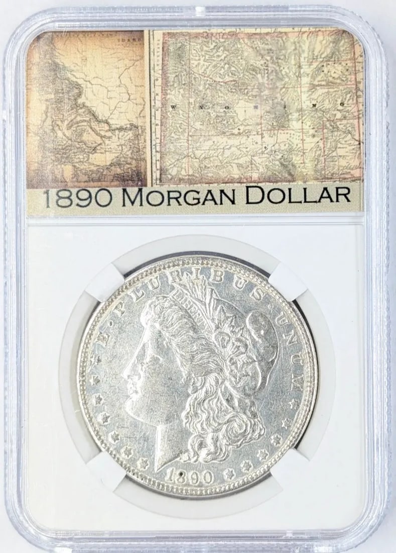 1890 Morgan Silver Dollar in Case: _